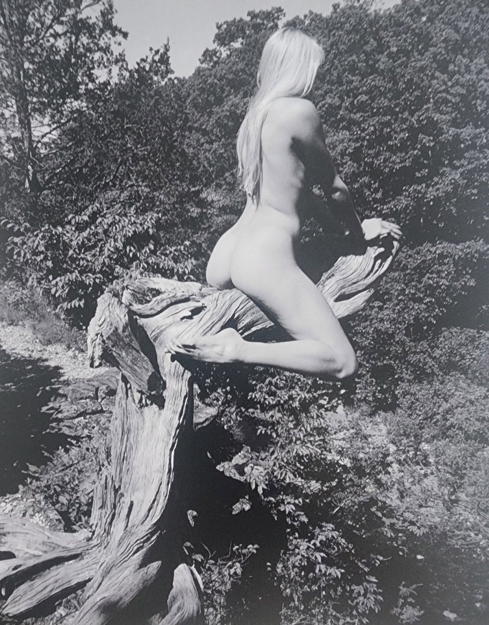 Blondes are more fun by Michelle Olley, 2002: Artist/Photographer: Michelle Olley Title/Subject: Blondes have more fun Type Of Print: Authentic Sheet Fed Photogravure/Heliogravure. Date Of Print: 2002 Paper: Medium weight, satin/matte finish. Pri