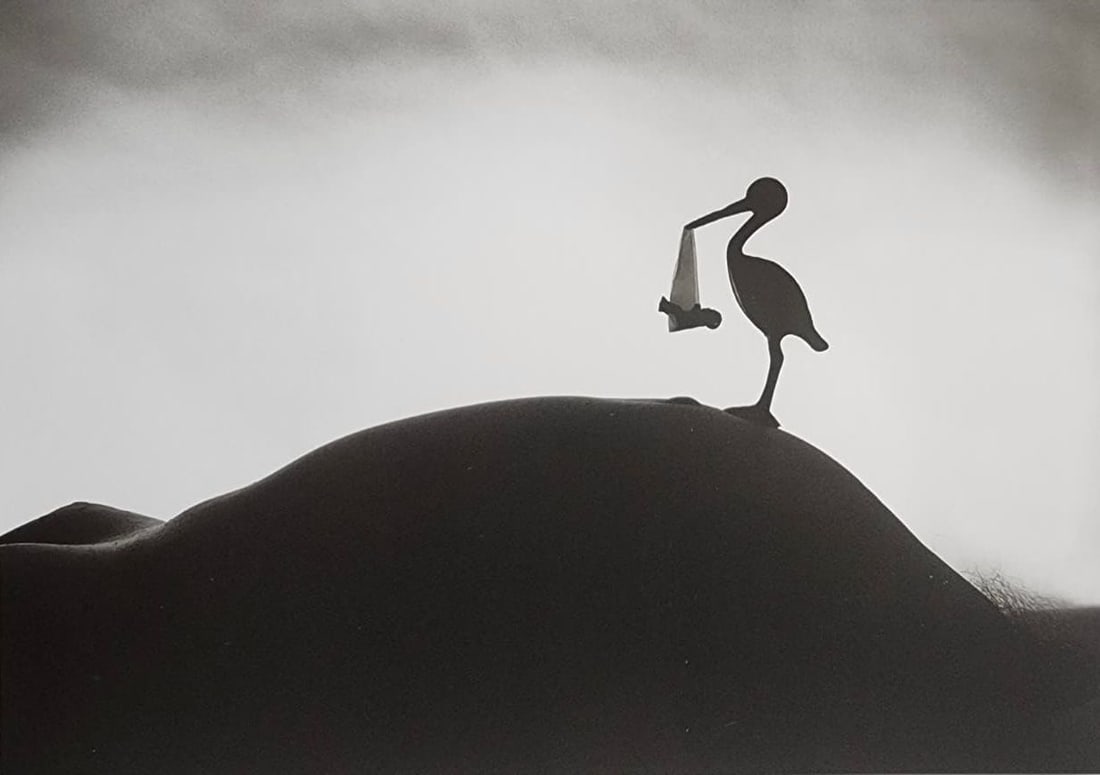 Allan Teger 'Bodyscapes' 2012: Artist/Photographer: Allan I. Teger Title/Subject: Bodyscapes Type Of Print: Authentic Sheet Fed Photogravure/Heliogravure. Date Of Print: 2012 Paper: Medium weight, satin/matte finish. Print Origin: