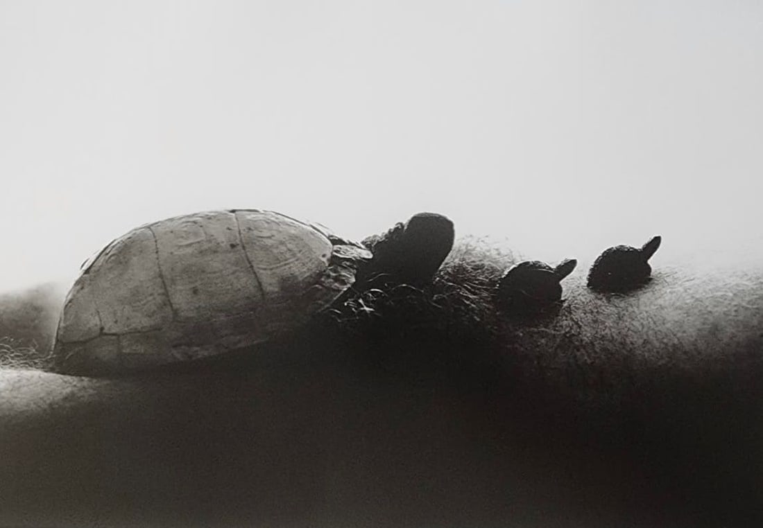 Allan Teger 'Bodyscapes' 2012 (1 of 1)