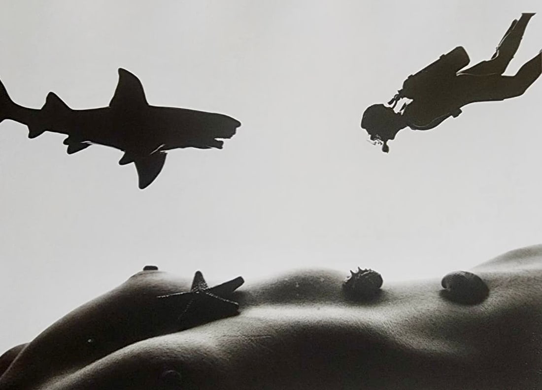 Allan Teger 'Bodyscapes' 2012: Artist/Photographer: Allan I. Teger Title/Subject: Bodyscapes Type Of Print: Authentic Sheet Fed Photogravure/Heliogravure. Date Of Print: 2012 Paper: Medium weight, satin/matte finish. Print Origin: