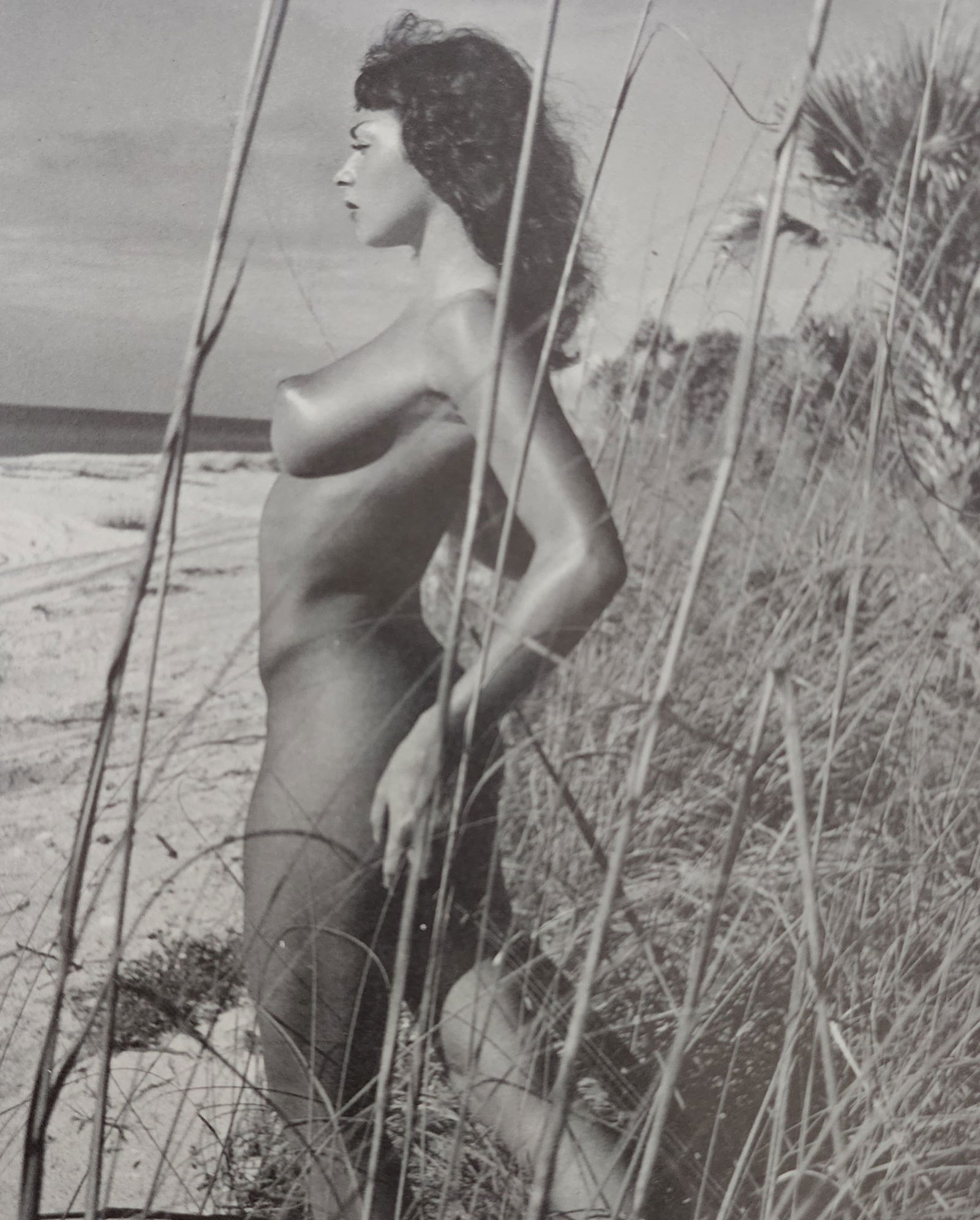 Andre de Dienes, Vintage Nudes 1961: Artist/Photographer: Andre de Dienes Title/Subject: Vintage Nudes 1961 Type Of Print: Authentic Sheet Fed Photogravure/Heliogravure. Paper: Medium weight, satin/matte finish. Print Origin:USA Approxim