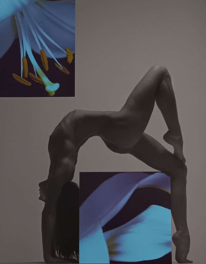 Beat a Von Weissenfluh 'Exotic Fantasy' 2005 (1 of 1)