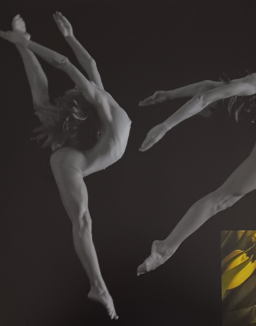 Beat a Von Weissenfluh 'Exotic Fantasy' 2005 (1 of 1)