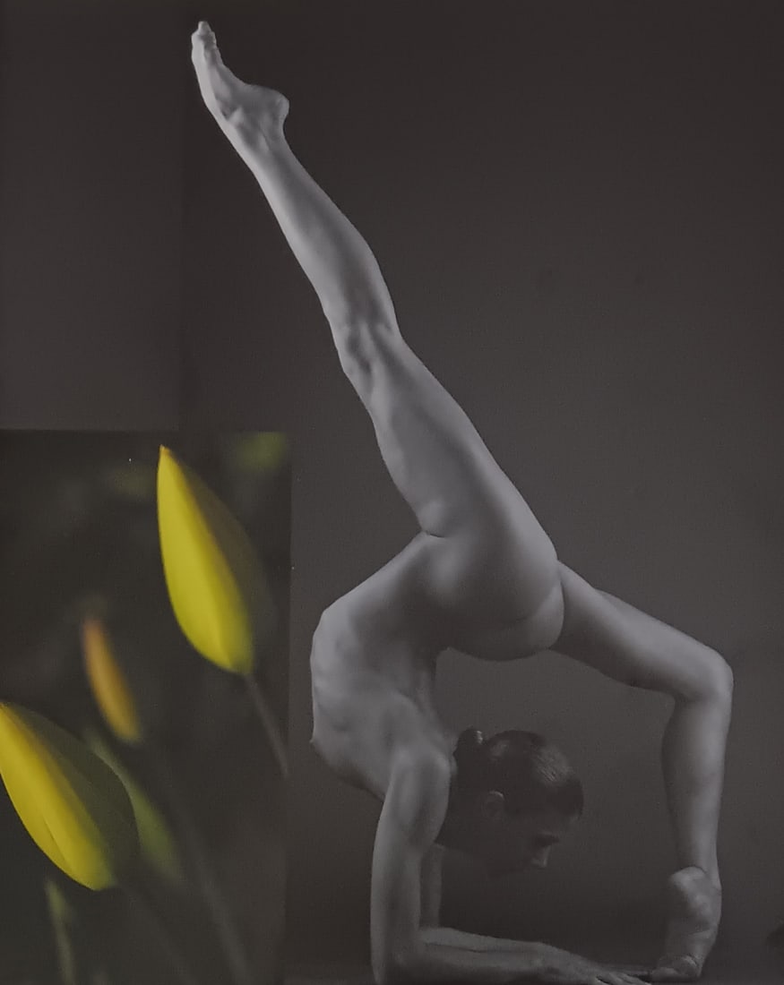 Beat a Von Weissenfluh 'Exotic Fantasy' 2005 (1 of 1)