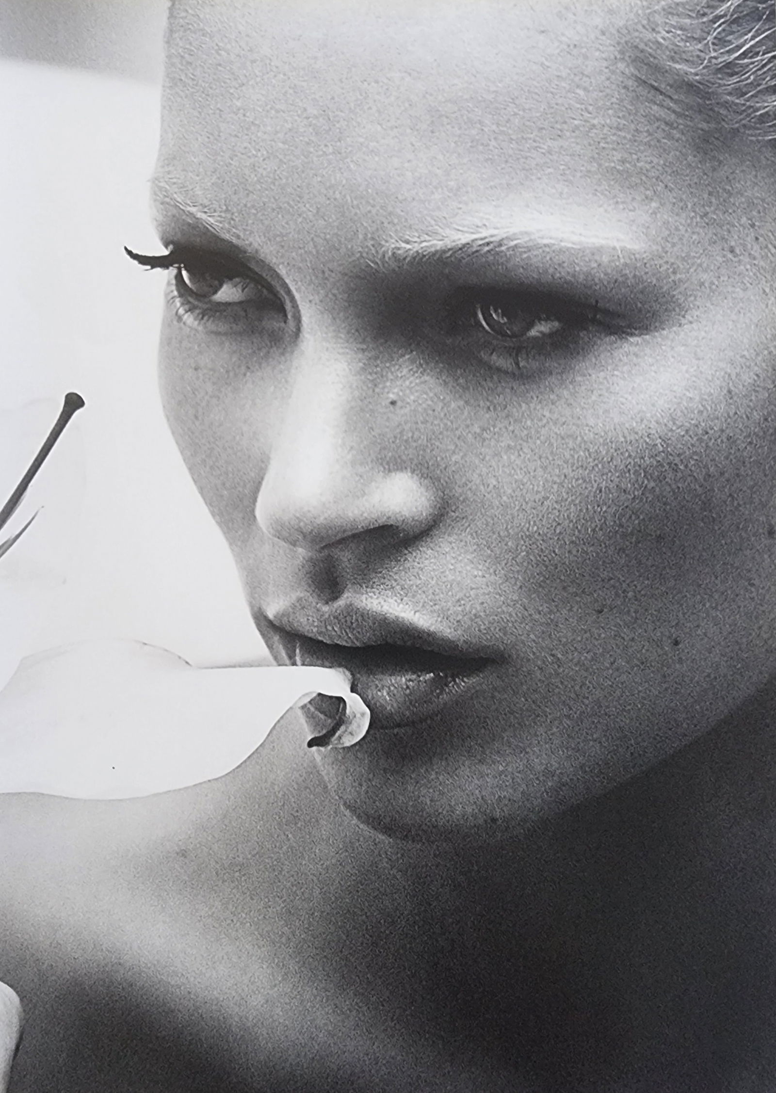 Kate Moss 'Exquisite Beauty' 2012: Artist/Photographer: Kate Moss Title/Subject: Exquisite Beauty Type Of Print: Authentic Sheet Fed Photogravure/Heliogravure. Date Of Print: 2012 Paper: Medium weight, satin/matte finish. Print Origin: