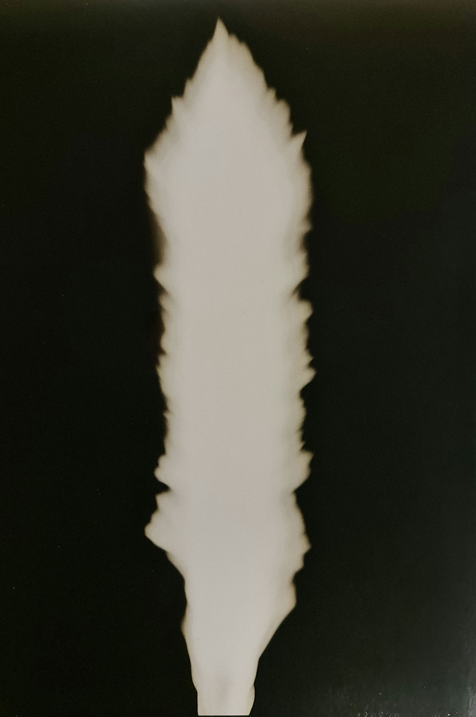 Hiroshi Sugimoto, In Praise of shadows, 980820: Artist Name: Hiroshi Sugimoto Size: 8.5 X 6 Type:First Edition. Print Year:1999 Printer: Korinsha Press Domesticating fire marks humankind's ascendancy over other species. For tens of thousands of yea