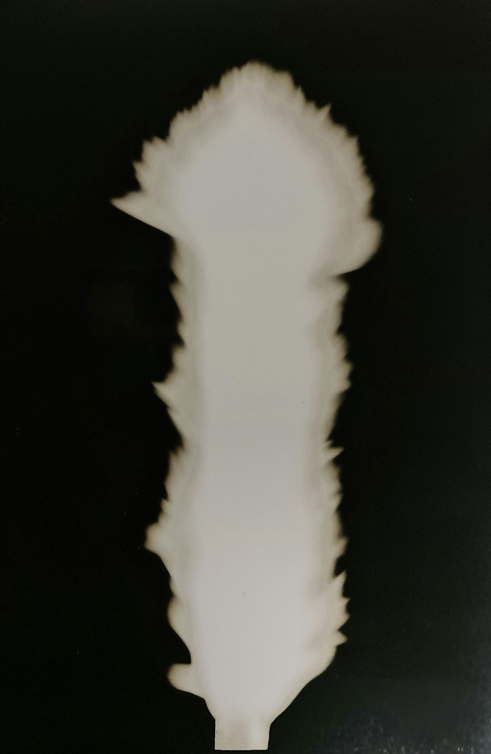 Hiroshi Sugimoto, In Praise of shadows, 980812 (1 of 2)