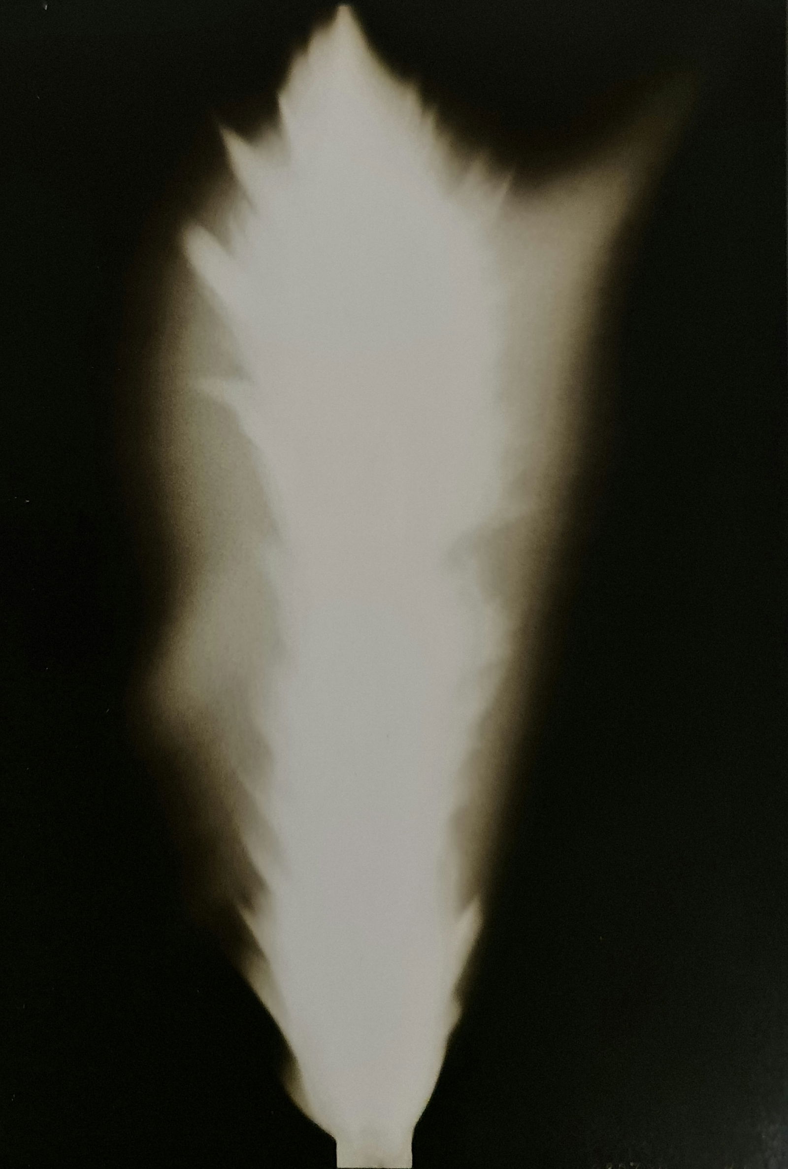 Hiroshi Sugimoto, In Praise of shadows, 980730 (1 of 2)