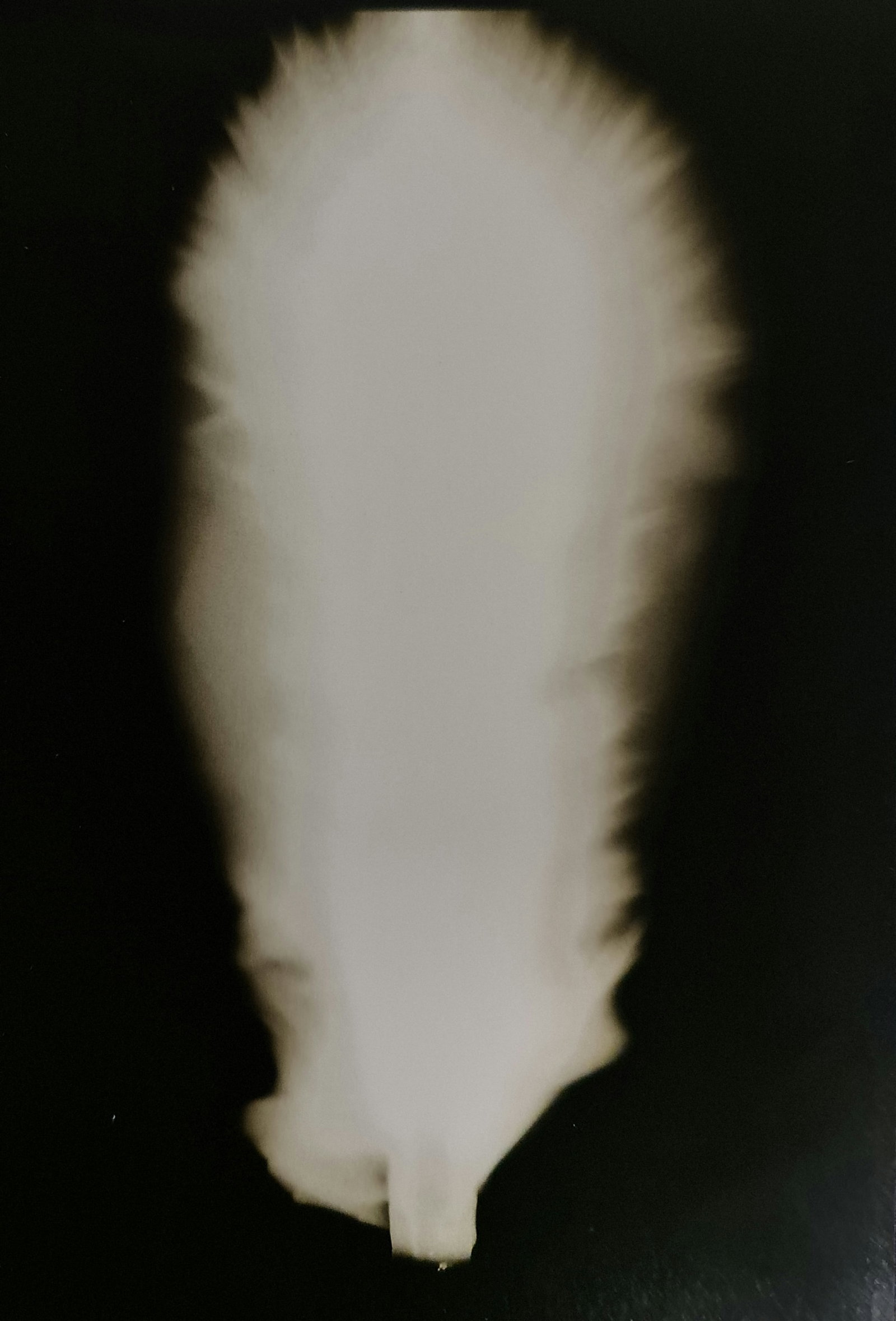 Hiroshi Sugimoto, In Praise of shadows, 980818 (1 of 2)