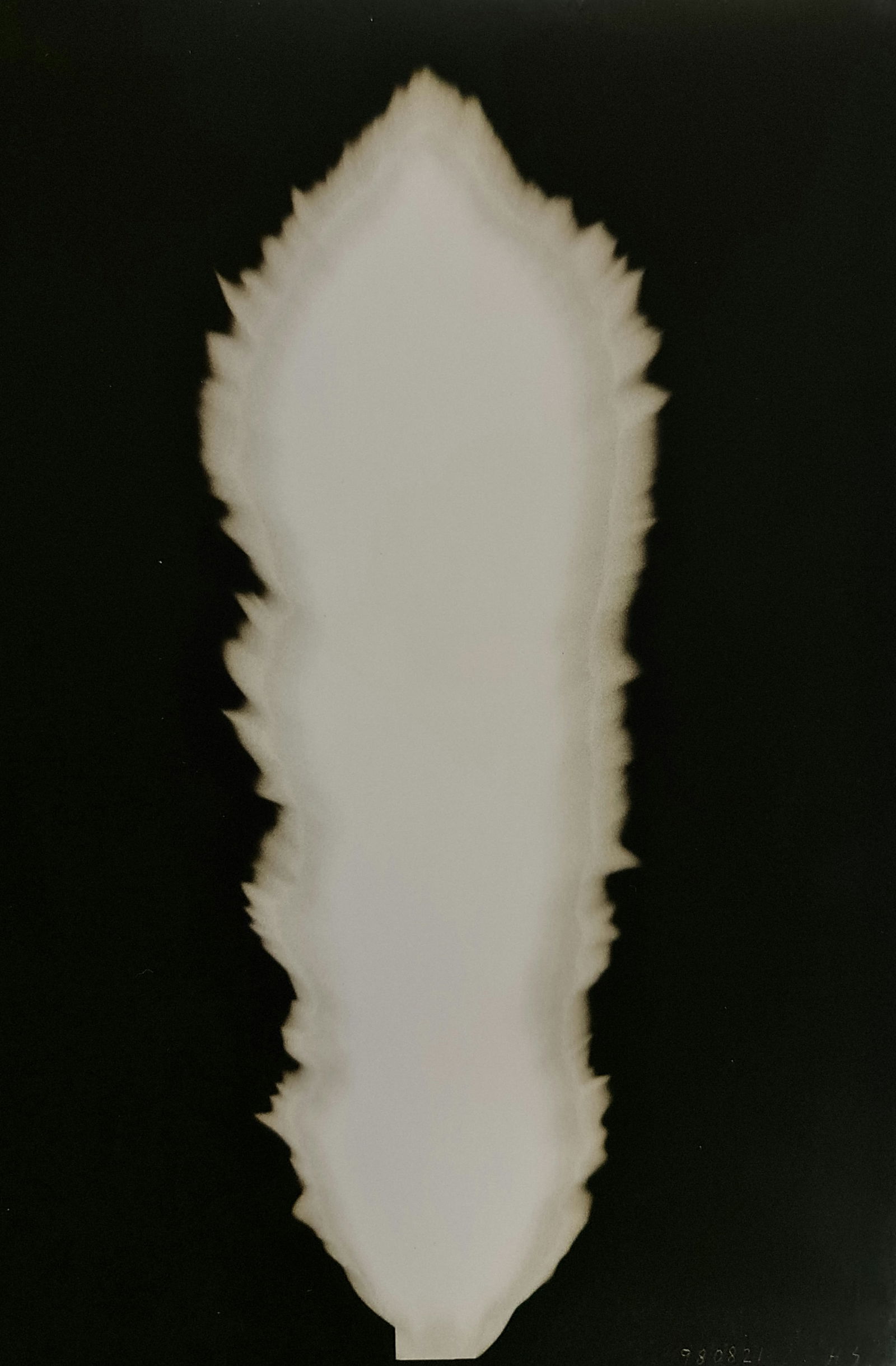 Hiroshi Sugimoto, In Praise of shadows, 980821: Artist Name: Hiroshi Sugimoto Size: 8.5 X 6 Type:First Edition. Print Year:1999 Printer: Korinsha Press Domesticating fire marks humankind's ascendancy over other species. For tens of thousands of yea