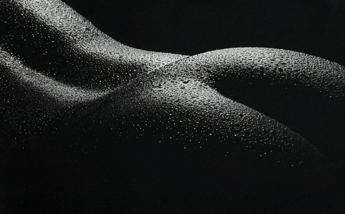 Tom Jacobi 'Elegant nude', 2008: Artist/Photographer: Tom Jacobi Title/Subject: Elegant nude Type Of Print: Authentic Sheet Fed Photogravure/Heliogravure. Date Of Print: 2008 Paper: Medium weight, satin/matte finish. Print Origin: