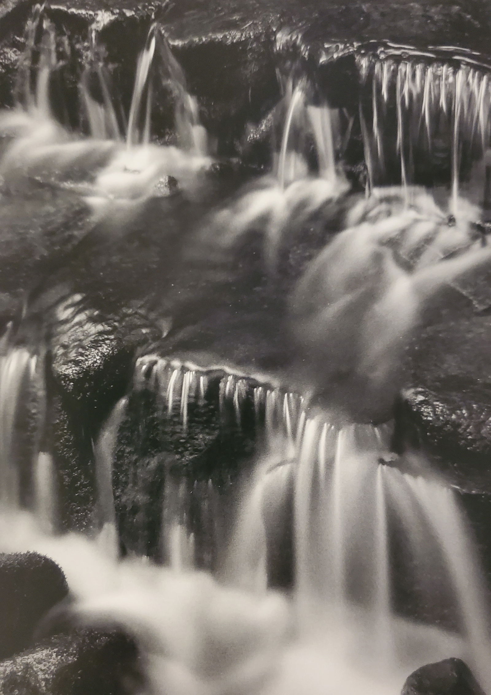 Ansel Adams, America's Nature, 2007 (1 of 1)