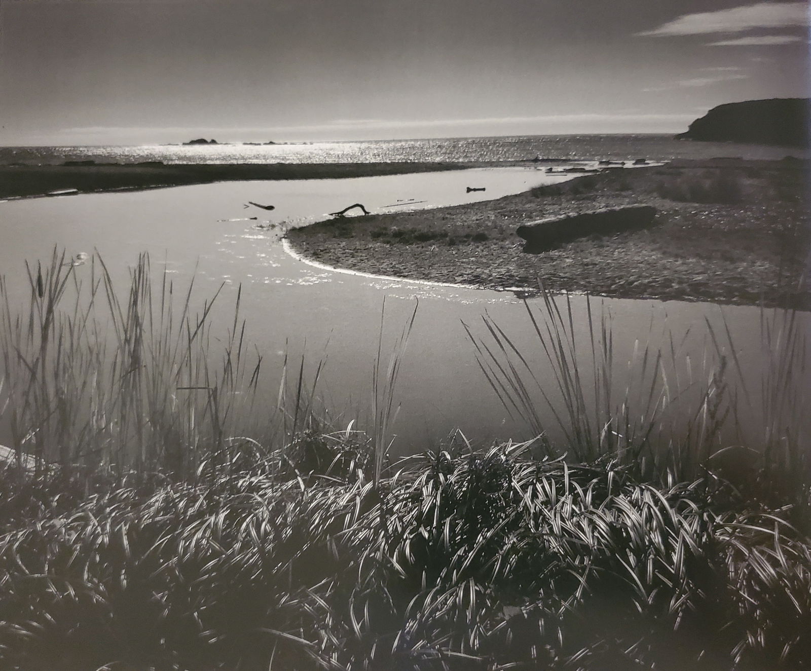 Ansel Adams, America's Nature, 2007 (1 of 1)