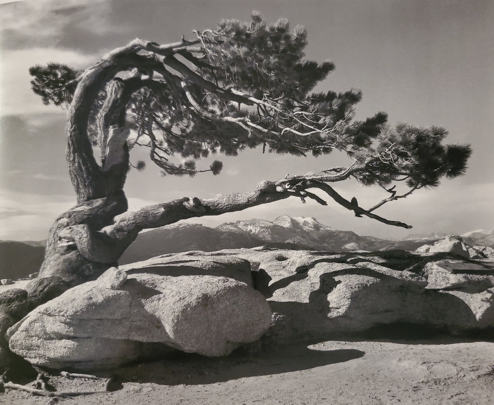 Ansel Adams, America's Nature, 2007 (1 of 1)