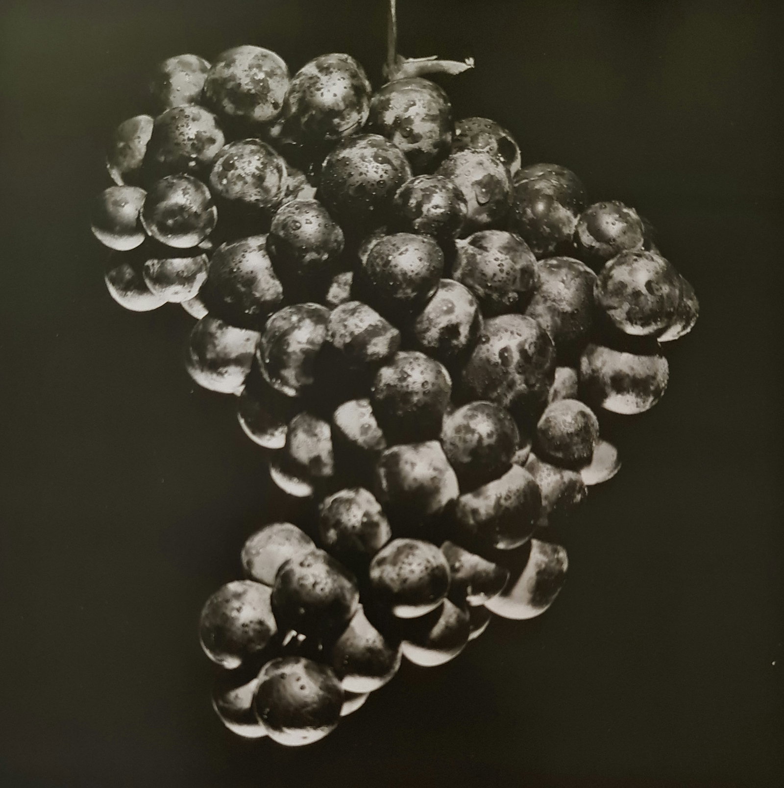 Robert Mapplethorpe, 1992: Photographer: Robert Michael Mapplethorpe (1946-1989) was an American photographer, best known for his black-and-white photographs. His work featured an array of subjects, including celebrity