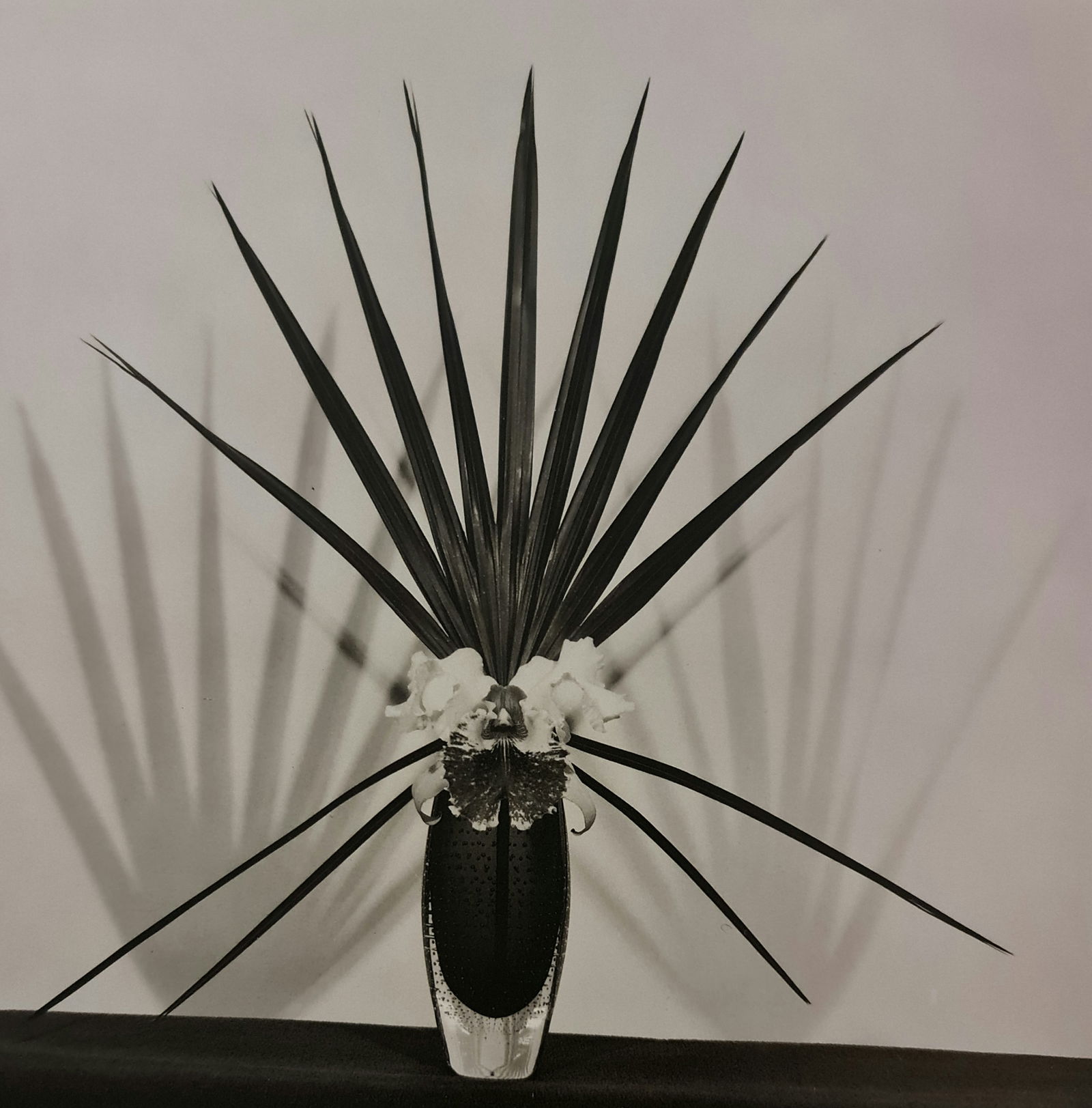 Robert Mapplethorpe, 1992: Photographer: Robert Michael Mapplethorpe (1946-1989) was an American photographer, best known for his black-and-white photographs. His work featured an array of subjects, including celebrity