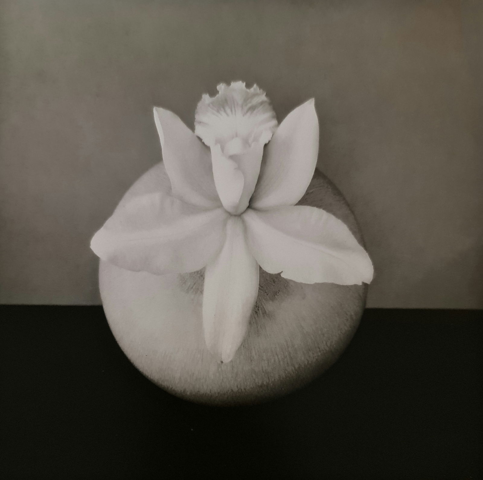 Robert Mapplethorpe, 1992: Photographer: Robert Michael Mapplethorpe (1946-1989) was an American photographer, best known for his black-and-white photographs. His work featured an array of subjects, including celebrity