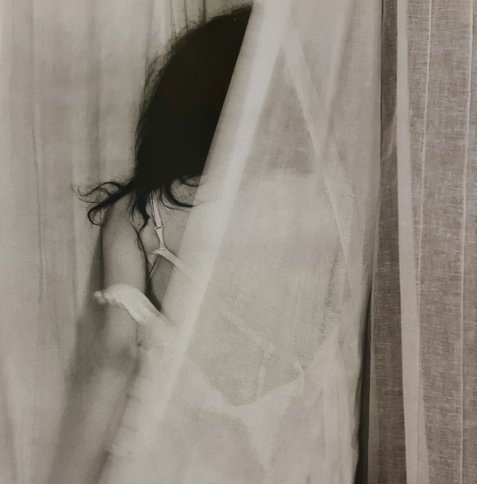 Robert Mapplethorpe, 1992: Photographer: Robert Michael Mapplethorpe (1946-1989) was an American photographer, best known for his black-and-white photographs. His work featured an array of subjects, including celebrity portrait