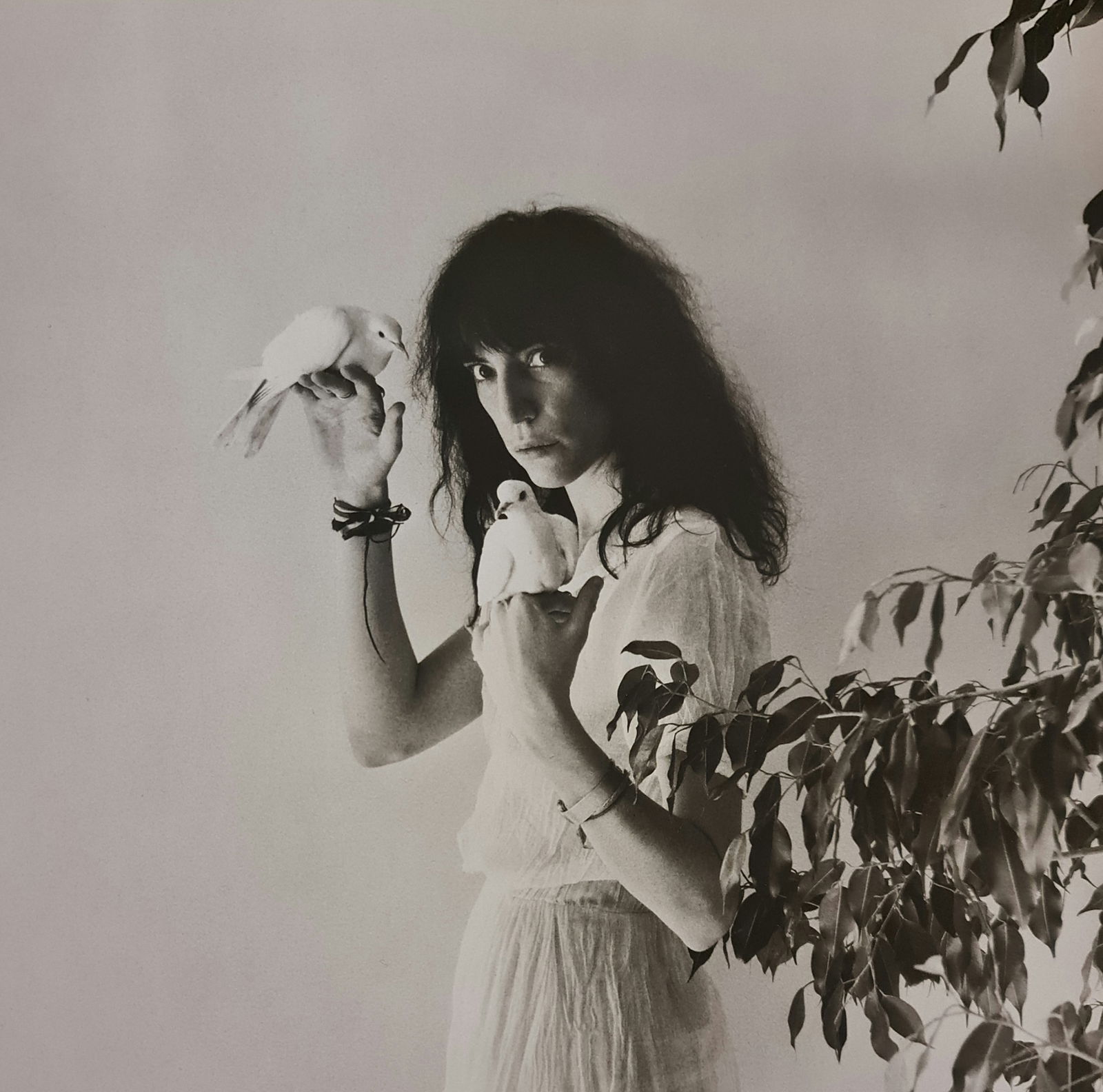 Robert Mapplethorpe, 1992: Photographer: Robert Michael Mapplethorpe (1946-1989) was an American photographer, best known for his black-and-white photographs. His work featured an array of subjects, including celebrity portrait