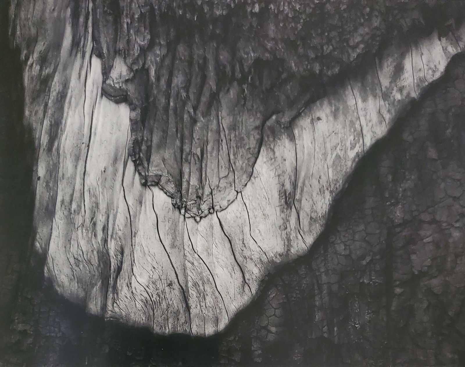 Ansel Adams, America's Nature, 2007: Photographer: Ansel Adams (American, 1902 - 1984) - Internationally renowned American photographer. One of the most influential artists in photographic history. Title: "America's Nature" Type Of Print