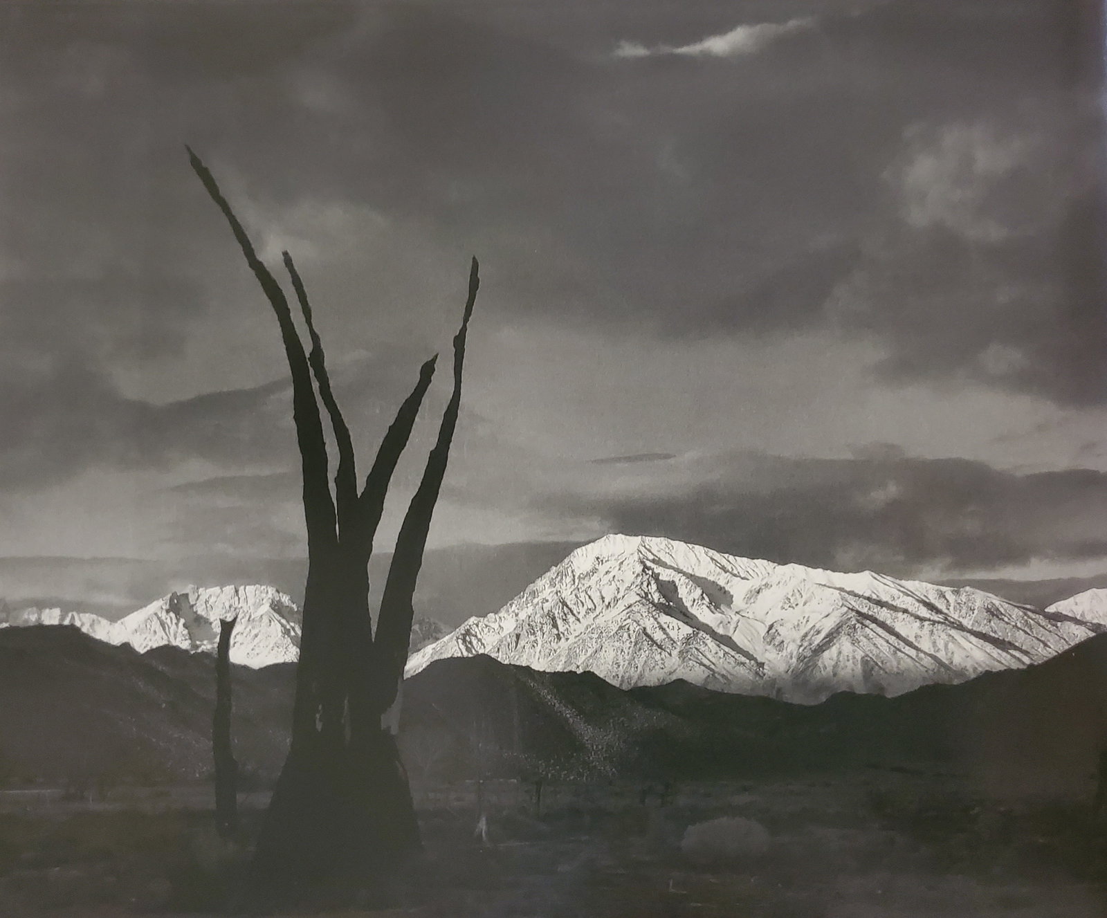 Ansel Adams, America's Nature, 2007 (1 of 1)