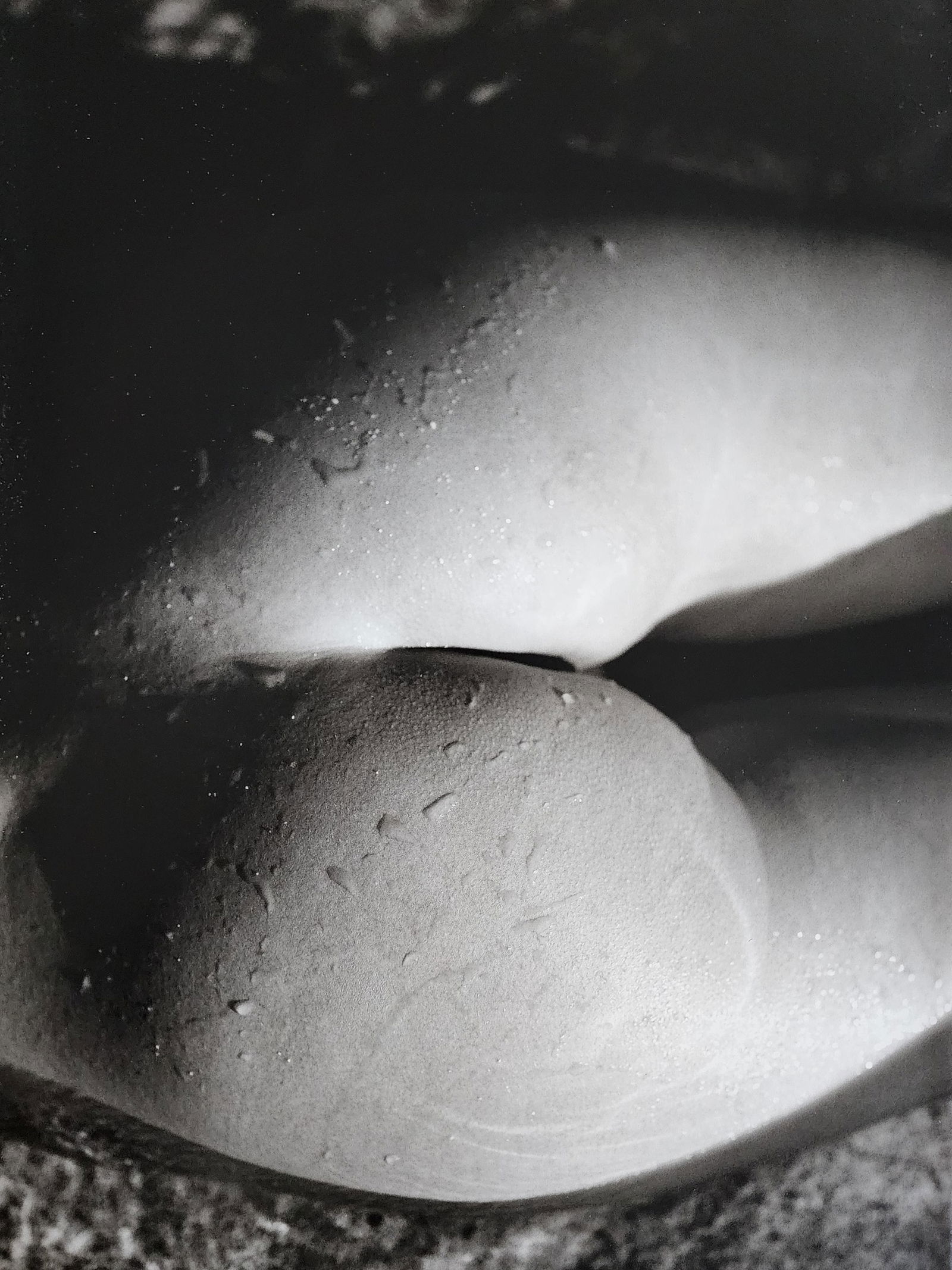 Russell James, Mesmerizing Beauty , 2010 (1 of 1)