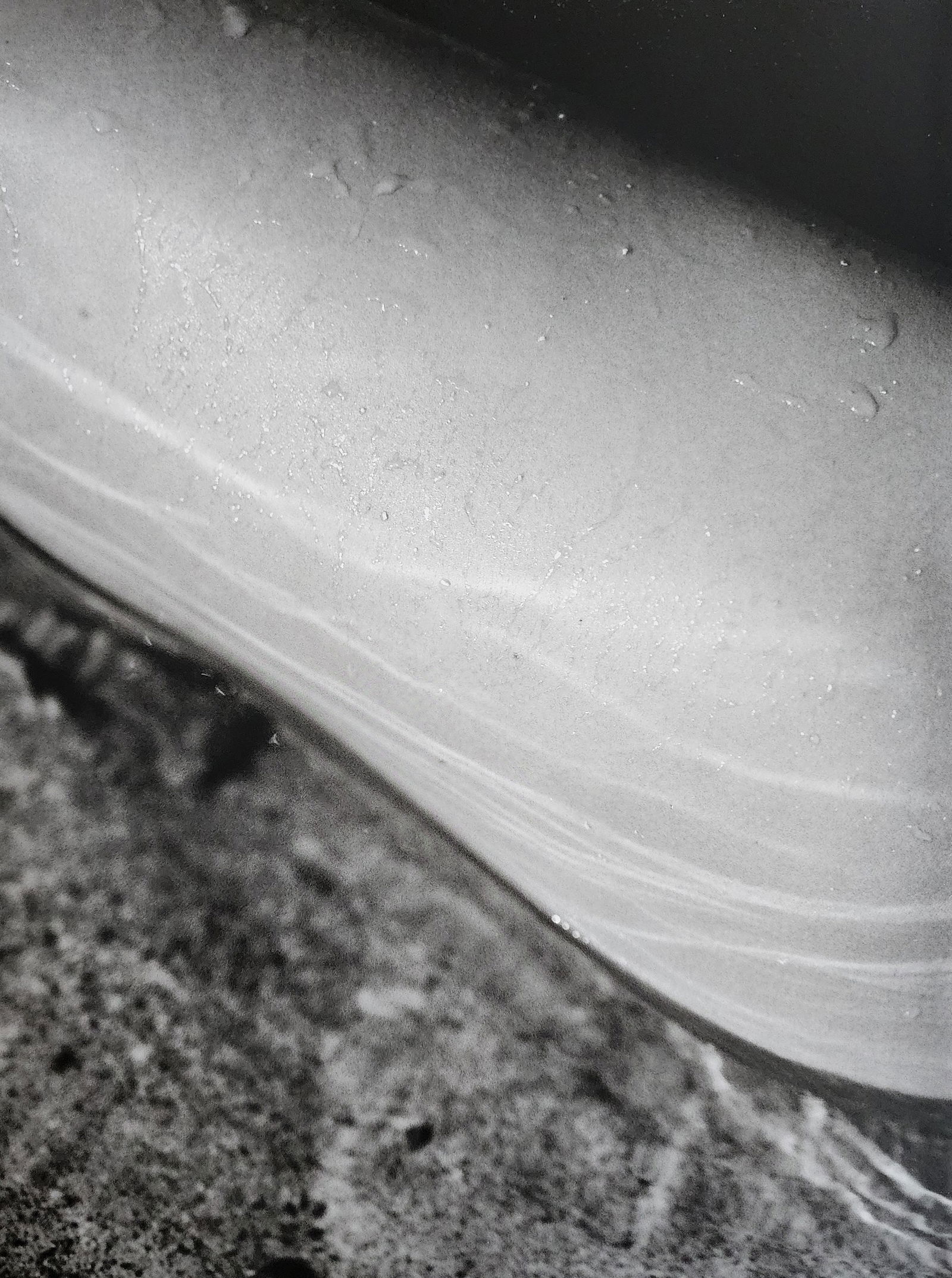 Russell James, Mesmerizing Beauty , 2010 (1 of 1)