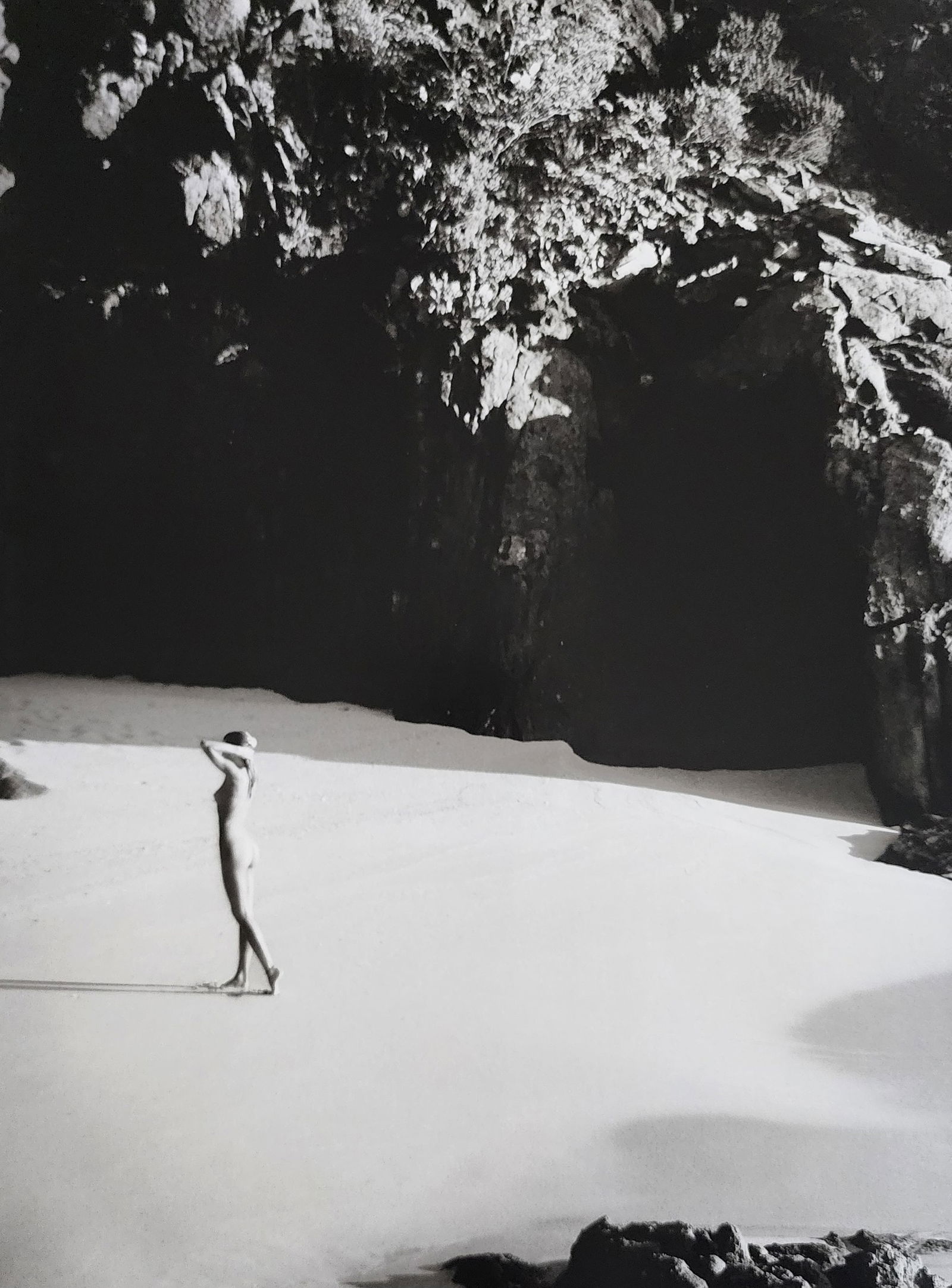 Russell James, Mesmerizing Beauty , 2010 (1 of 1)