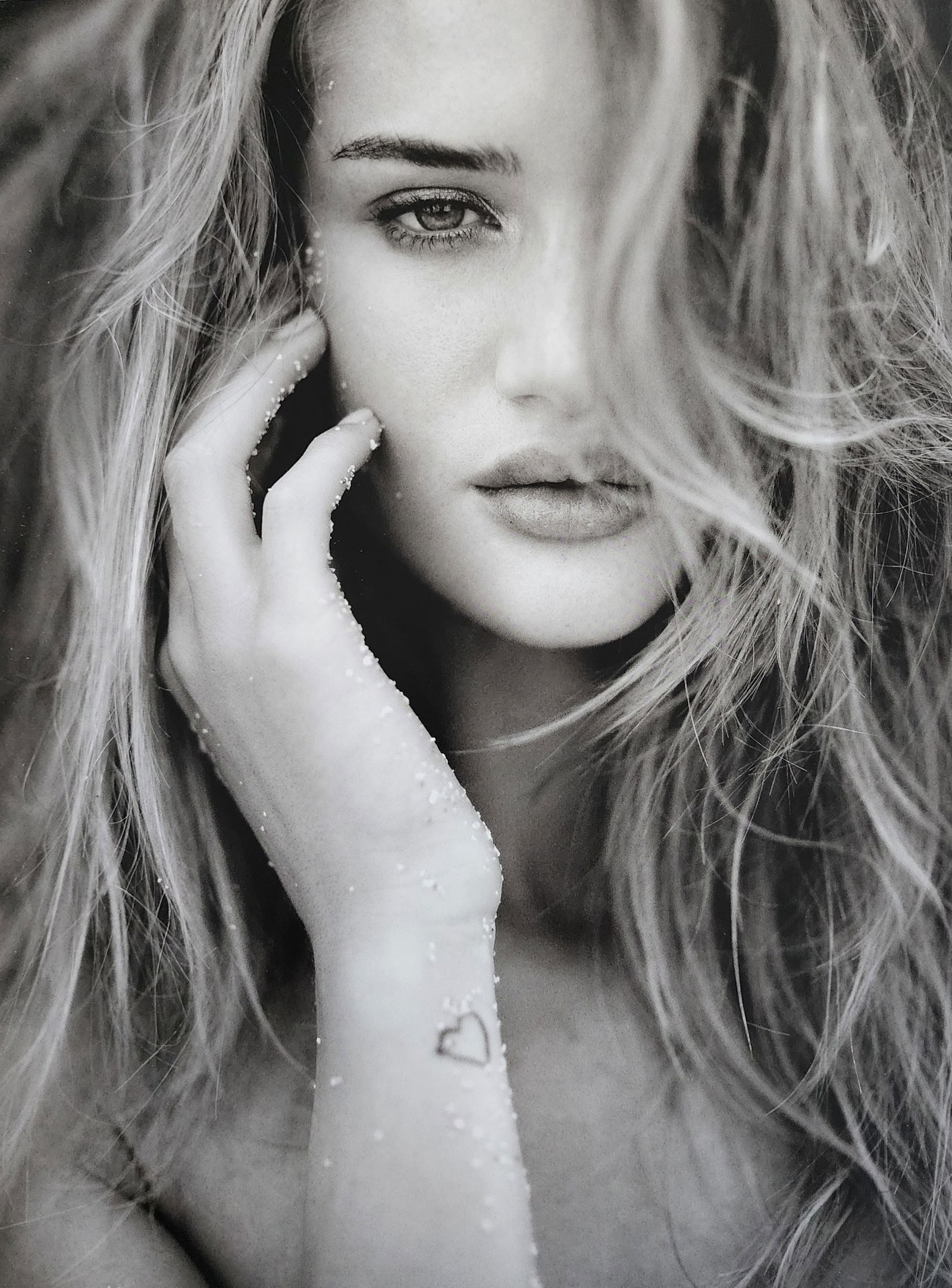 Russell James, Mesmerizing Beauty , 2010 (1 of 1)