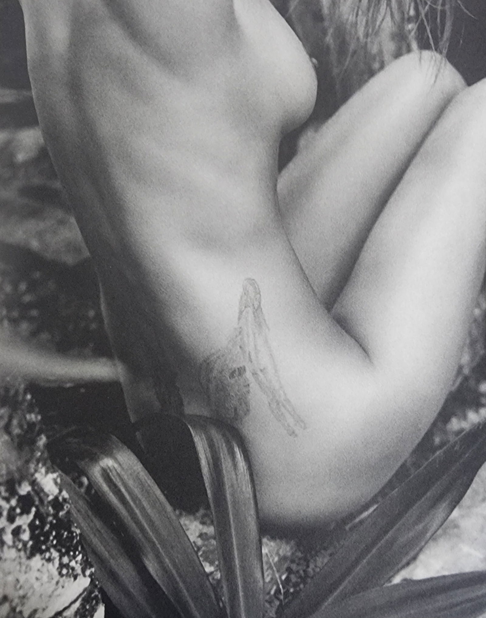 Sante D'Orazio, Celebrities nudes 1st Edition, 2000: Artist/Photographer: Sante D'Orazio Title/Subject: Celebrities nudes Type Of Print: Authentic Sheet Fed Photogravure/Heliogravure. Date Of Print: 2000, 1st edition Paper: Medium weight, satin/matte fi