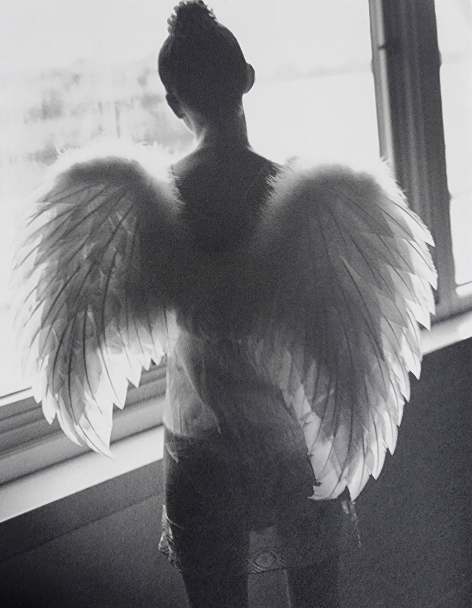 Sante D'Orazio, Celebrities nudes 1st Edition, 2000: Artist/Photographer: Sante D'Orazio Title/Subject: Celebrities nudes Type Of Print: Authentic Sheet Fed Photogravure/Heliogravure. Date Of Print: 2000, 1st edition Paper: Medium weight, satin/matte fi