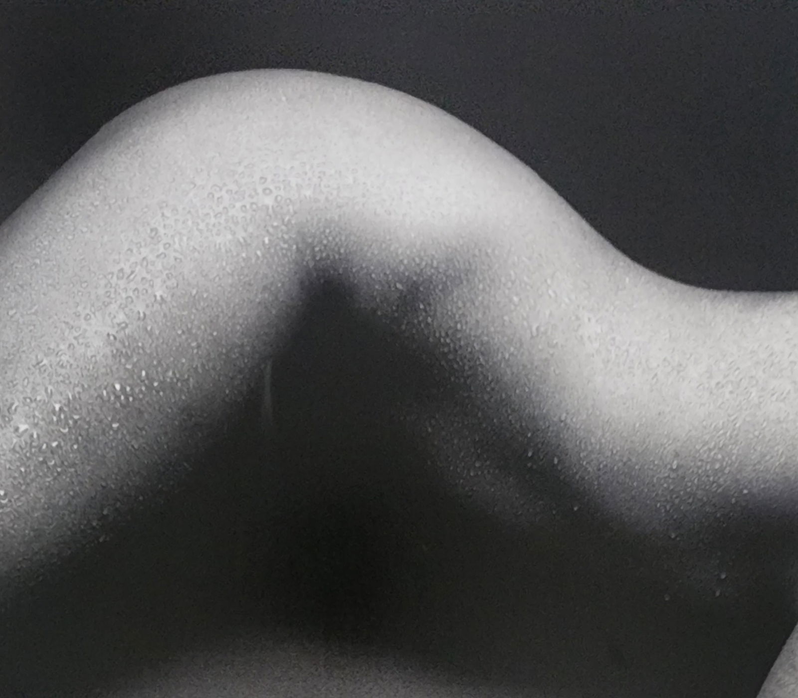 Best female nudes photography 1850 to 2001: Artist/Photographer: Various photogrpher, include: Araki, Exe Arnold, Peter Beard, Bill Brandt, Brassai, Lucien Clergue, Horst P. Horst..... Title/Subject: Best female nudes photography 1850 to 2001 T