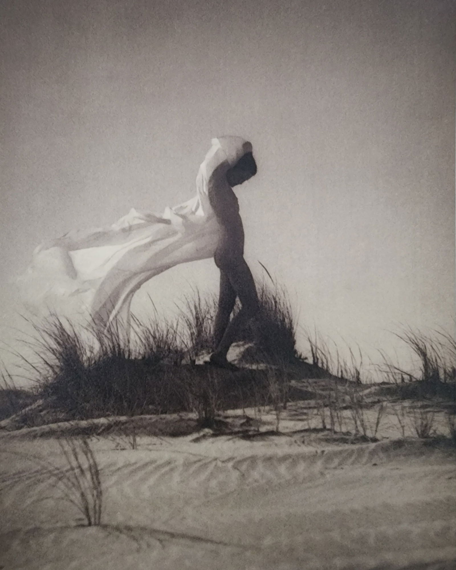 Best female nudes photography 1850 to 2001: Artist/Photographer: Various photogrpher, include: Araki, Exe Arnold, Peter Beard, Bill Brandt, Brassai, Lucien Clergue, Horst P. Horst..... Title/Subject: Best female nudes photography 1850 to 2001 T