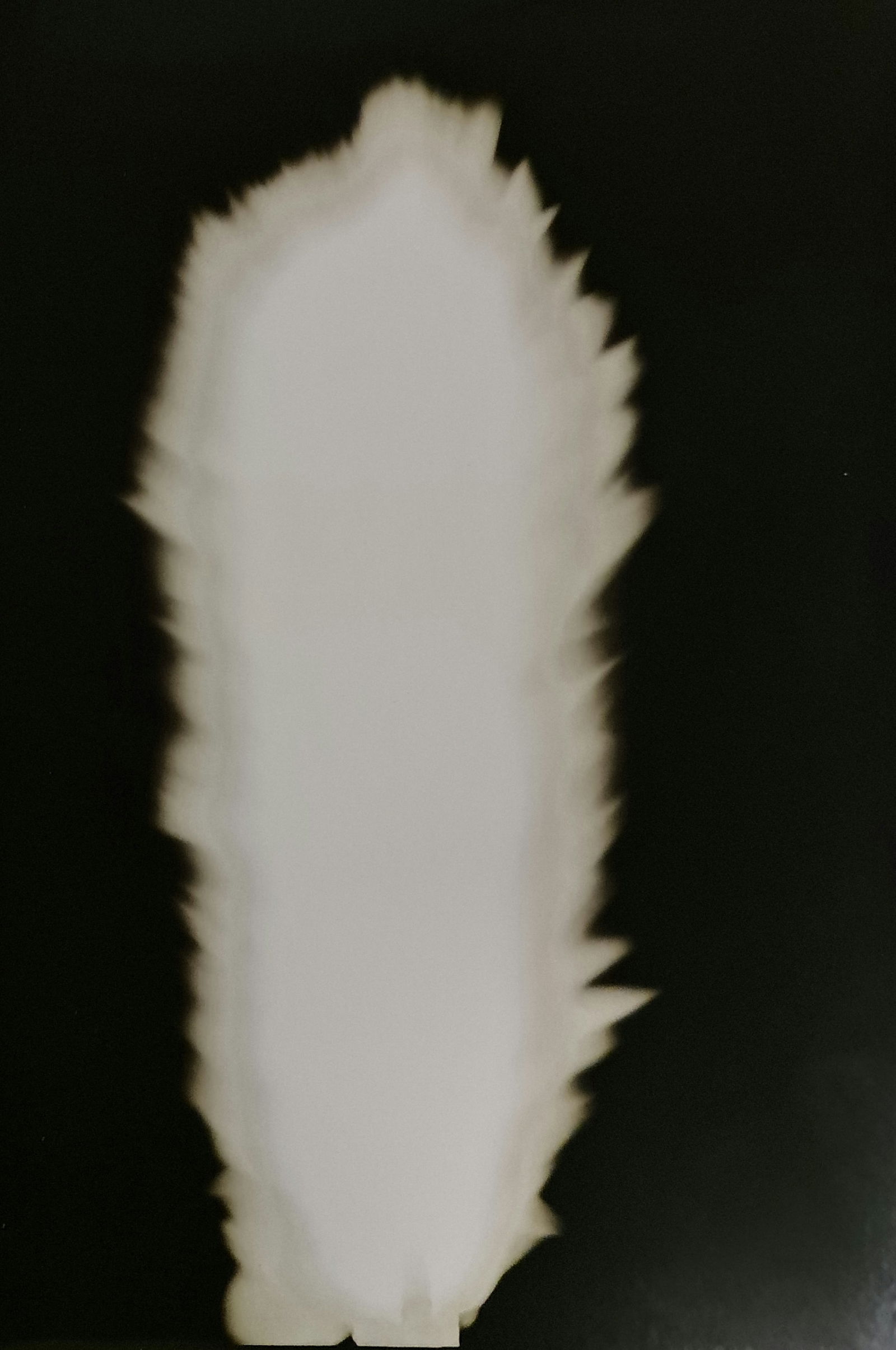 Hiroshi Sugimoto, In Praise of shadows, 980814: Artist Name: Hiroshi Sugimoto Size: 8.5 X 6 Type:First Edition. Print Year:1999 Printer: Korinsha Press Domesticating fire marks humankind's ascendancy over other species. For tens of