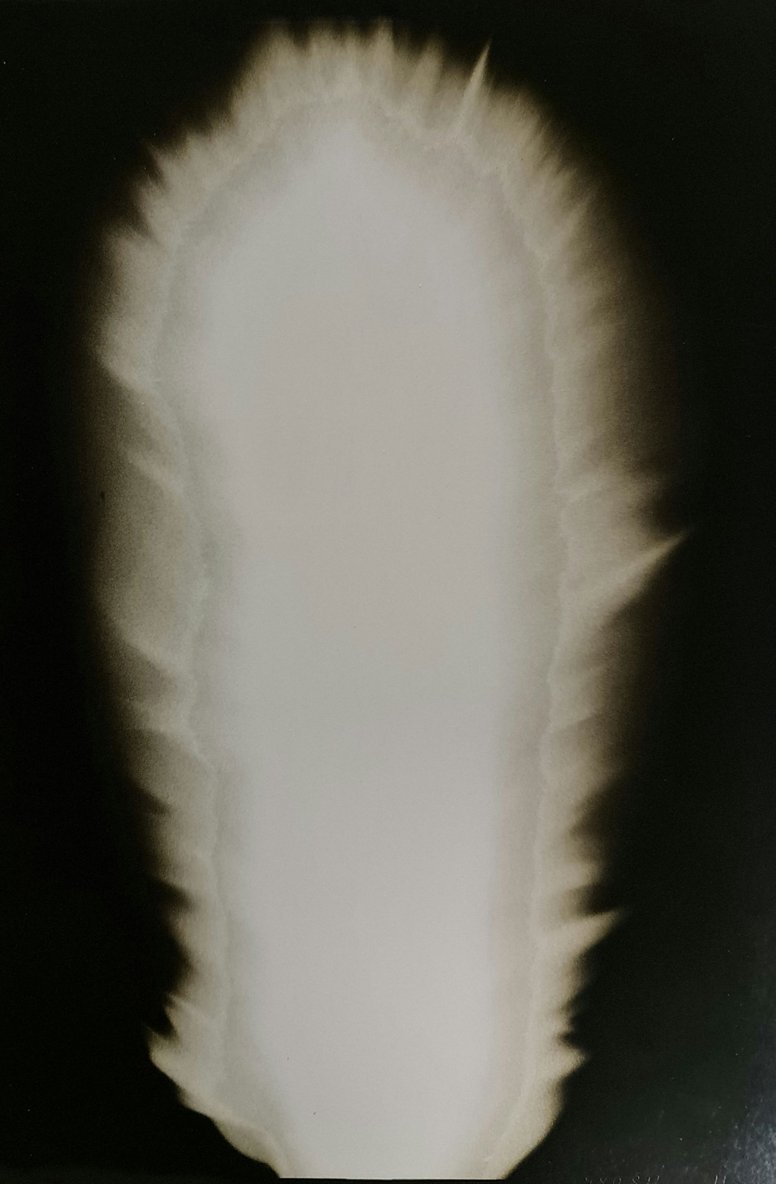 Hiroshi Sugimoto, In Praise of shadows, 980811 (1 of 2)