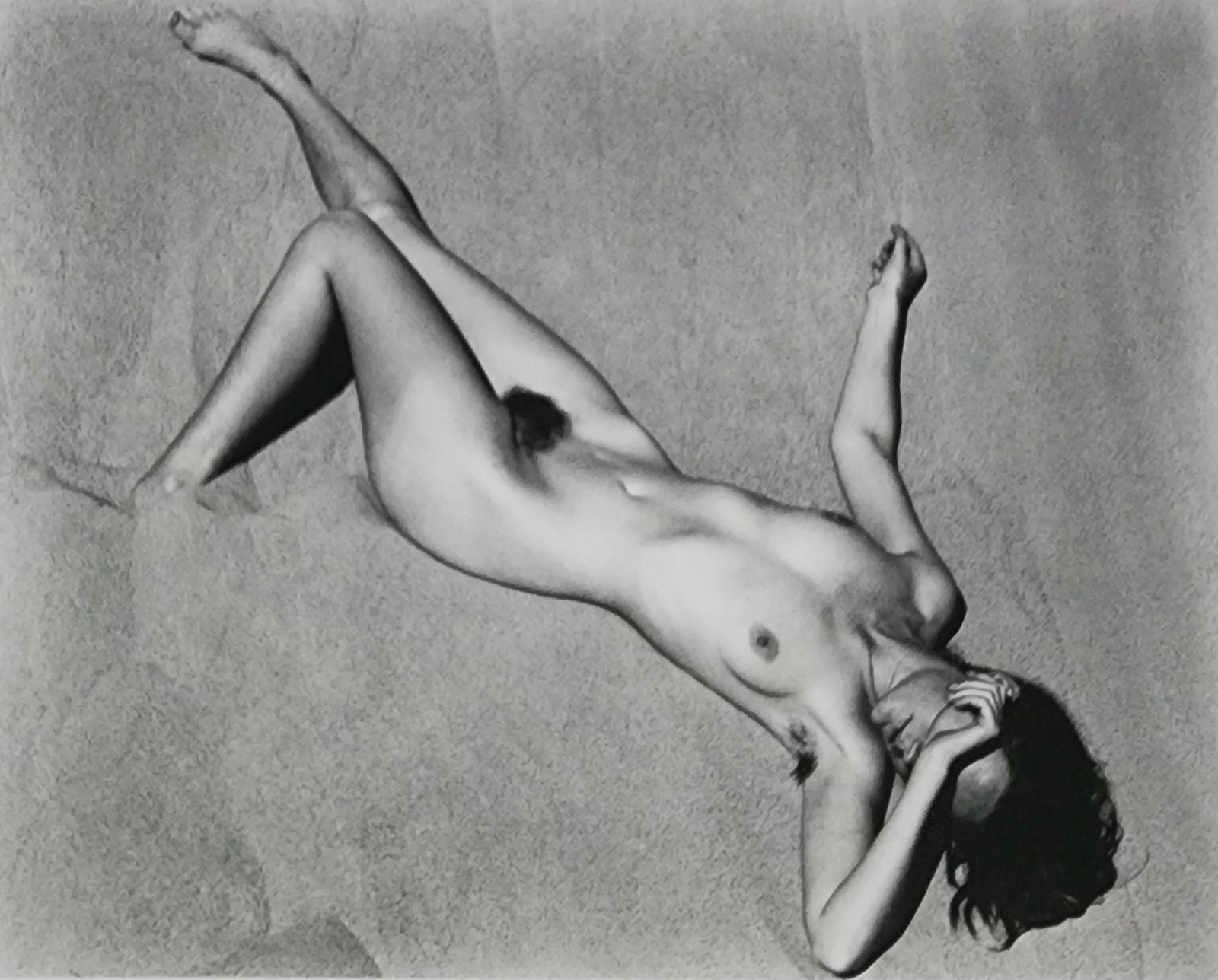 Best female nudes photography 1850 to 2001: Artist/Photographer: Various photogrpher, include: Araki, Exe Arnold, Peter Beard, Bill Brandt, Brassai, Lucien Clergue, Horst P. Horst..... Title/Subject: Best female nudes photography 1850 to 2001 T