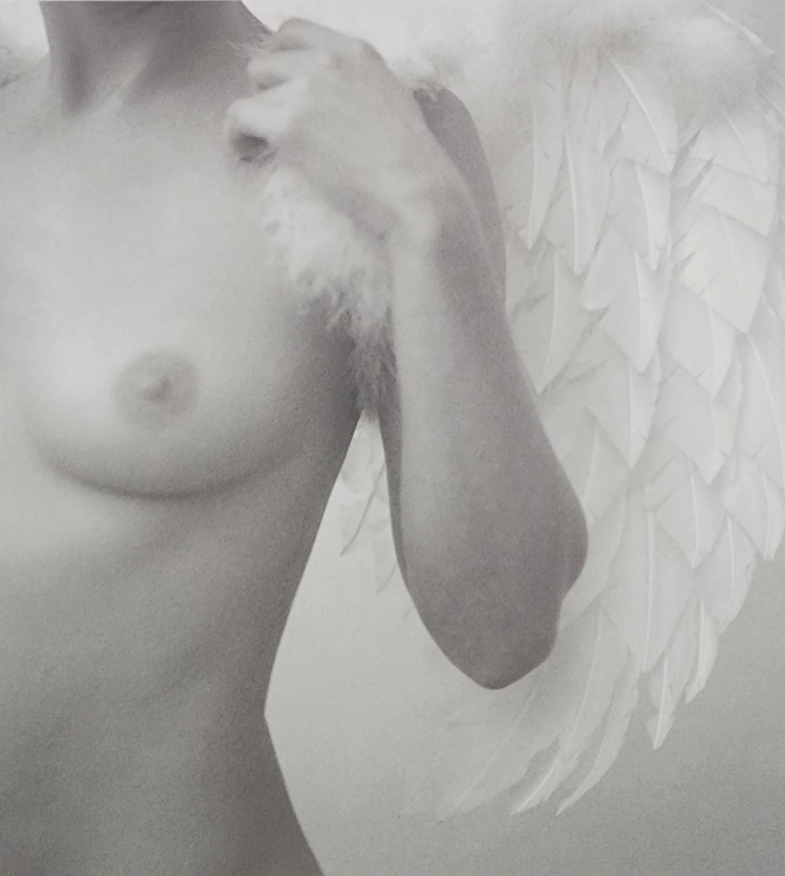 Best female nudes photography 1850 to 2001: Artist/Photographer: Various photogrpher, include: Araki, Exe Arnold, Peter Beard, Bill Brandt, Brassai, Lucien Clergue, Horst P. Horst..... Title/Subject: Best female nudes photography 1850 to 2001 T