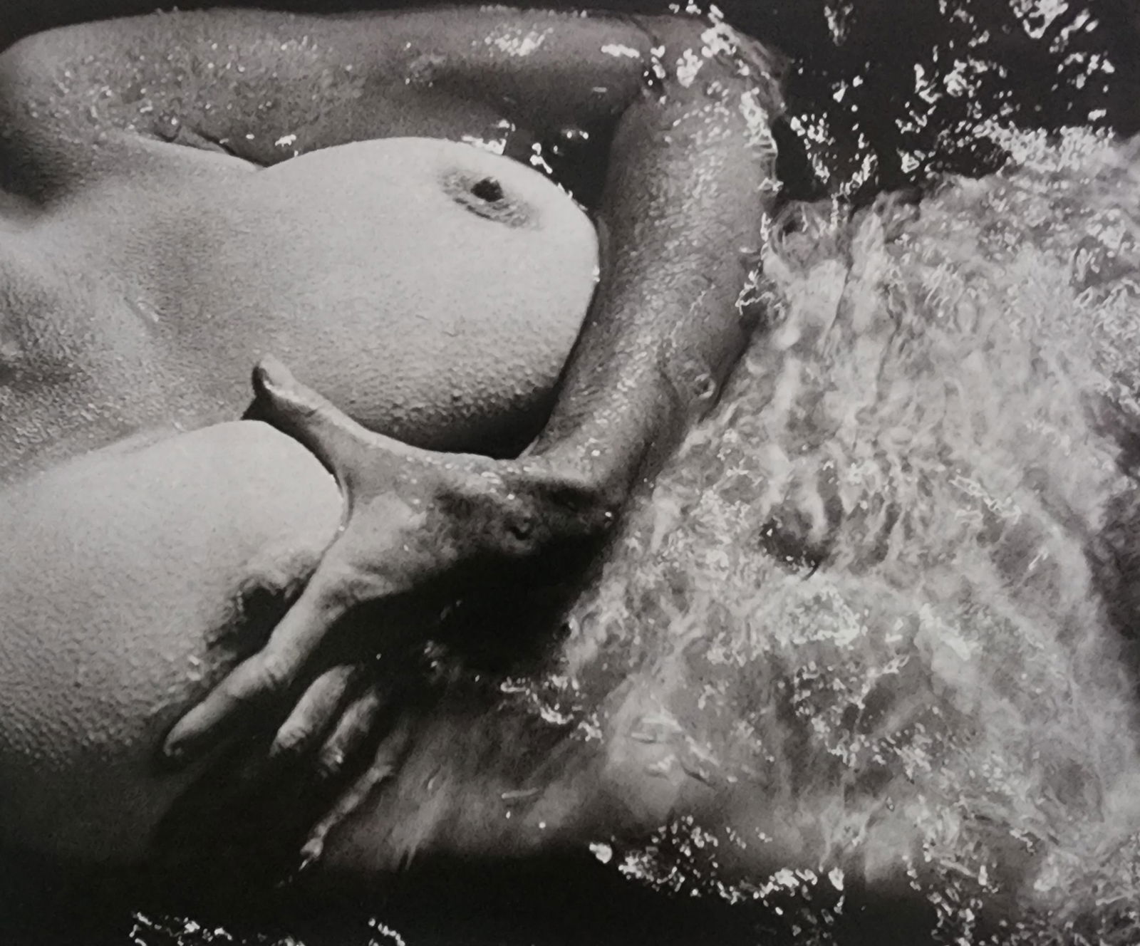 Best female nudes photography 1850 to 2001: Artist/Photographer: Various photogrpher, include: Araki, Exe Arnold, Peter Beard, Bill Brandt, Brassai, Lucien Clergue, Horst P. Horst..... Title/Subject: Best female nudes photography 1850 to 2001 T