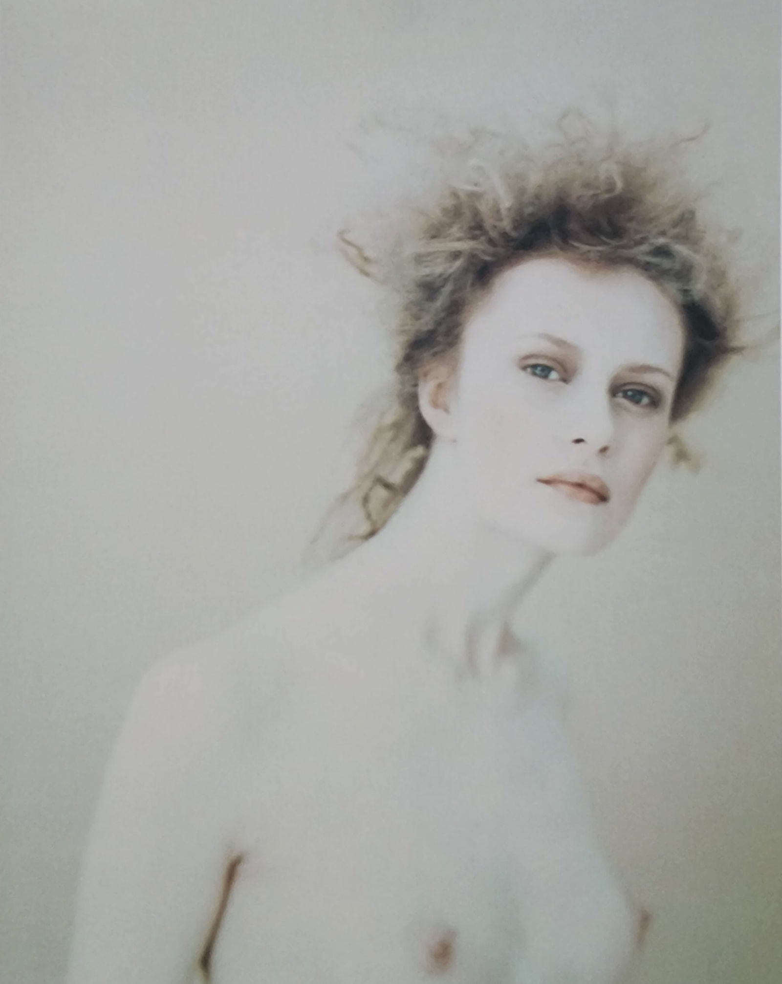 Best female nudes photography 1850 to 2001: Artist/Photographer: Various photogrpher, include: Araki, Exe Arnold, Peter Beard, Bill Brandt, Brassai, Lucien Clergue, Horst P. Horst..... Title/Subject: Best female nudes photography 1850 to 2001 T