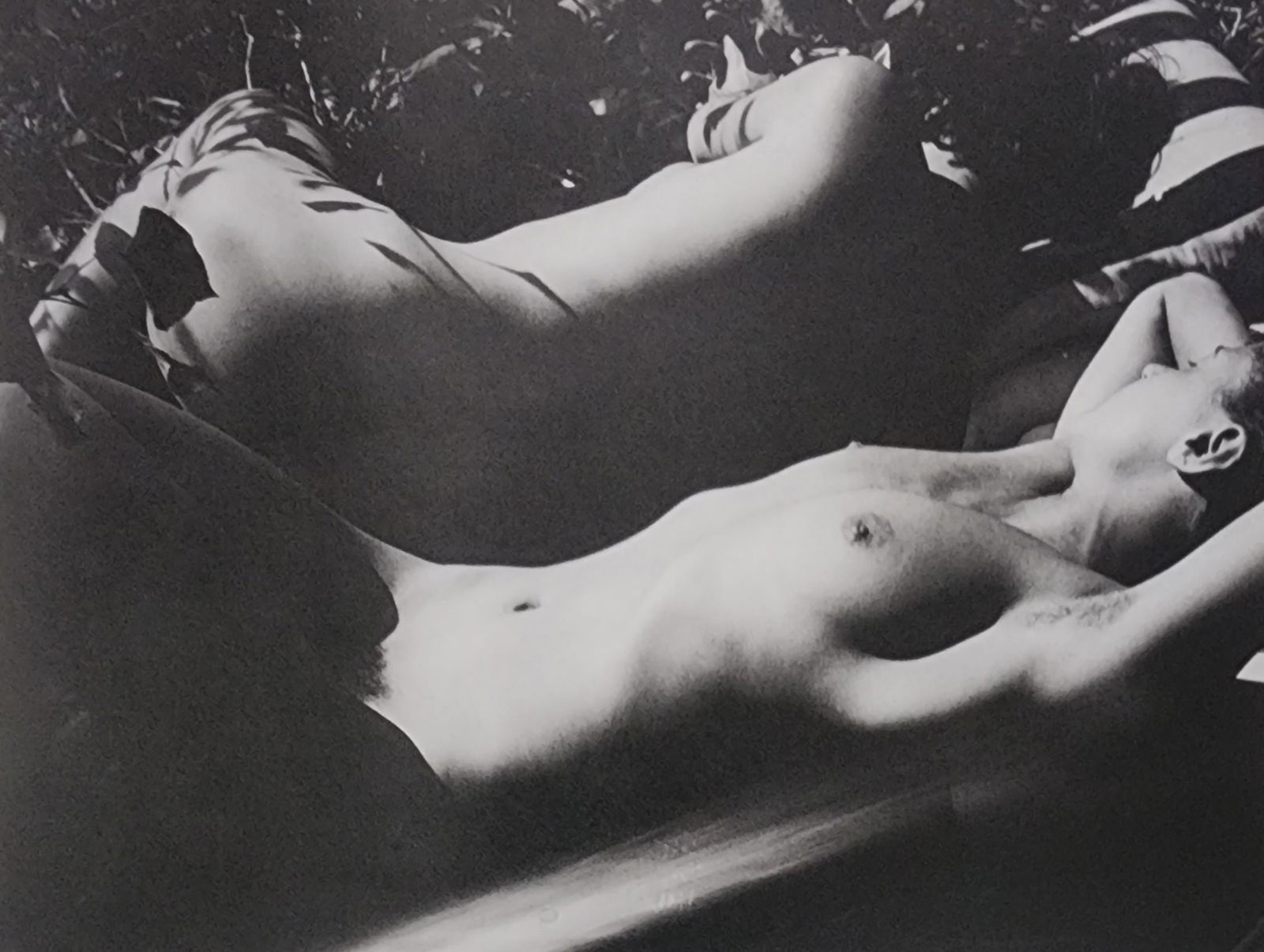 Best female nudes photography 1850 to 2001: Artist/Photographer: Various photogrpher, include: Araki, Exe Arnold, Peter Beard, Bill Brandt, Brassai, Lucien Clergue, Horst P. Horst..... Title/Subject: Best female nudes photography 1850 to 2001 T