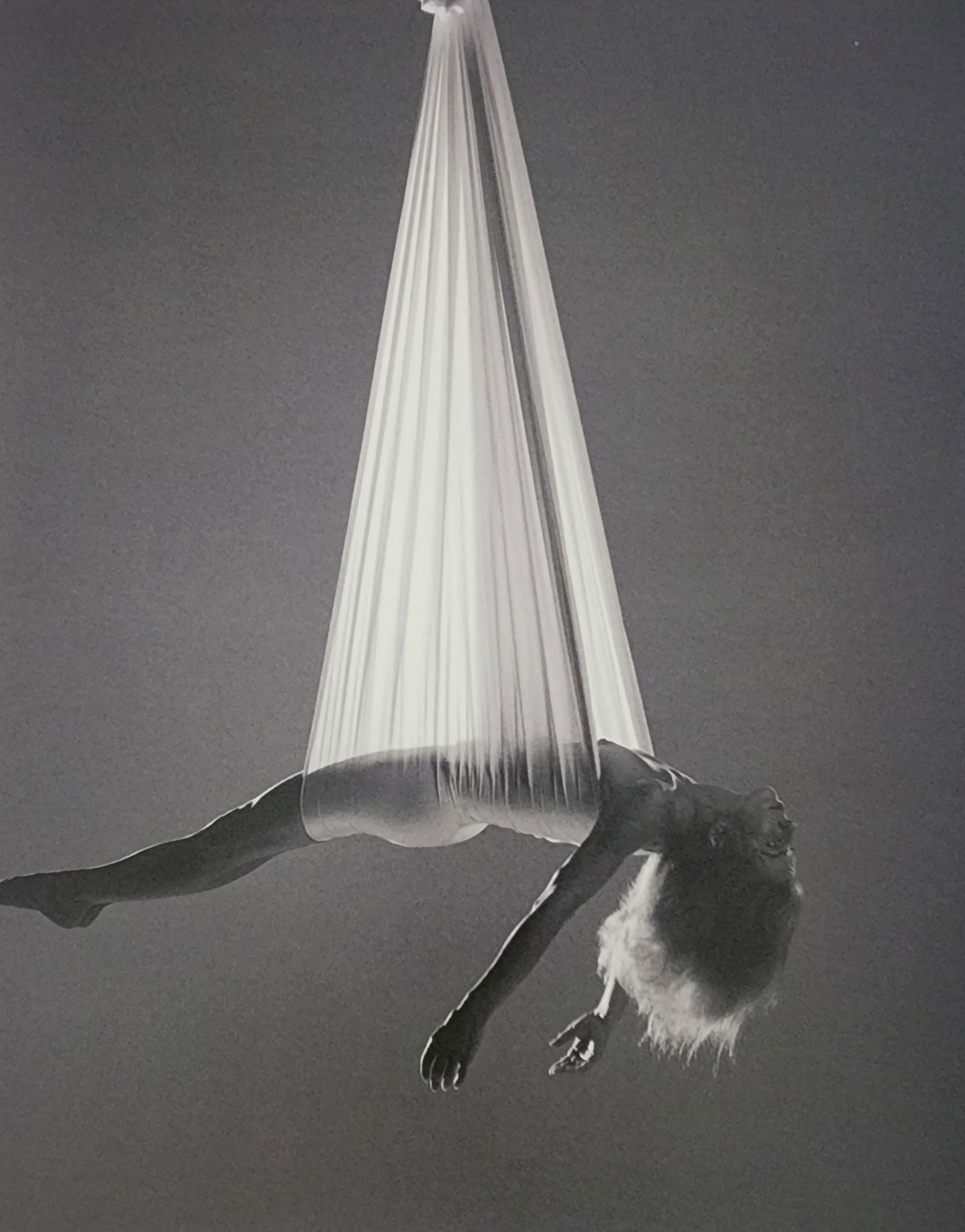 Best female nudes photography 1850 to 2001: Artist/Photographer: Various photogrpher, include: Araki, Exe Arnold, Peter Beard, Bill Brandt, Brassai, Lucien Clergue, Horst P. Horst..... Title/Subject: Best female nudes photography 1850 to 2001 T