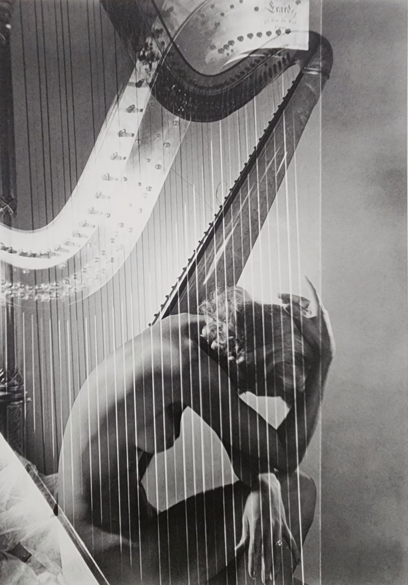 Best female nudes photography 1850 to 2001: Artist/Photographer: Various photogrpher, include: Araki, Exe Arnold, Peter Beard, Bill Brandt, Brassai, Lucien Clergue, Horst P. Horst..... Title/Subject: Best female nudes photography 1850 to 2001 T