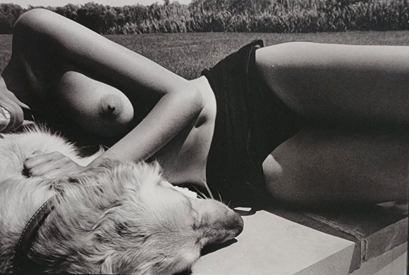 Best female nudes photography 1850 to 2001: Artist/Photographer: Various photogrpher, include: Araki, Exe Arnold, Peter Beard, Bill Brandt, Brassai, Lucien Clergue, Horst P. Horst..... Title/Subject: Best female nudes photography 1850 to 2001 T