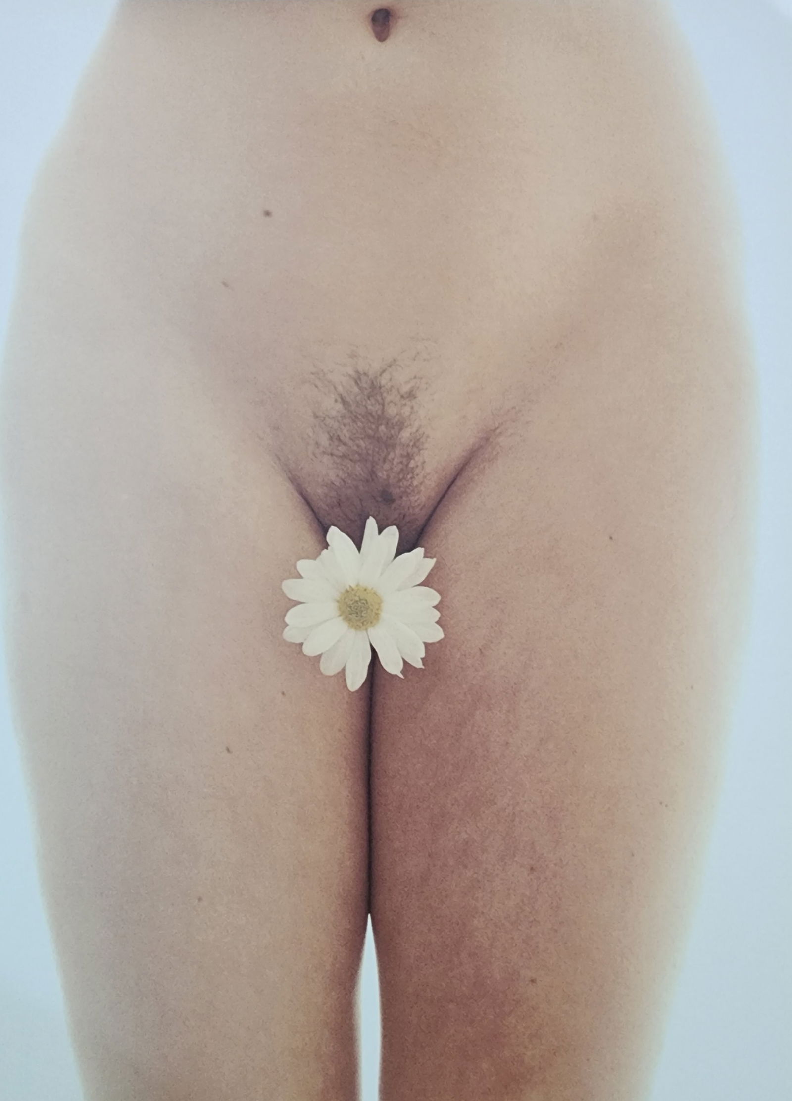 Best female nudes photography 1850 to 2001: Artist/Photographer: Various photogrpher, include: Araki, Exe Arnold, Peter Beard, Bill Brandt, Brassai, Lucien Clergue, Horst P. Horst..... Title/Subject: Best female nudes photography 1850 to 2001 T