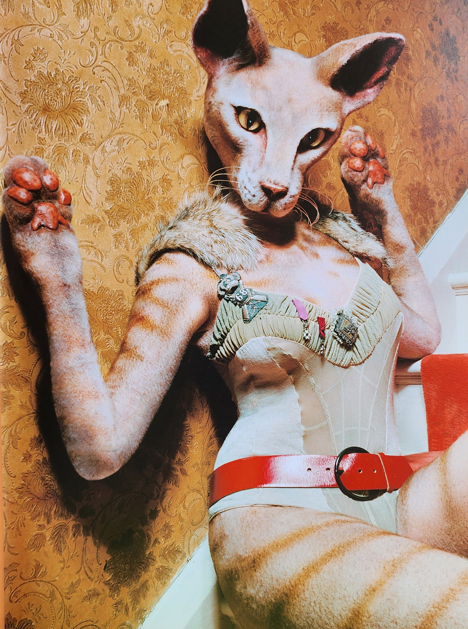 Rankin 'Untitled", 2003: John Rankin Waddell (1966), also known under his working name Rankin, is a British portrait and fashion photographer and director. Best known as the founder of Dazed and Confused magazine, and for his