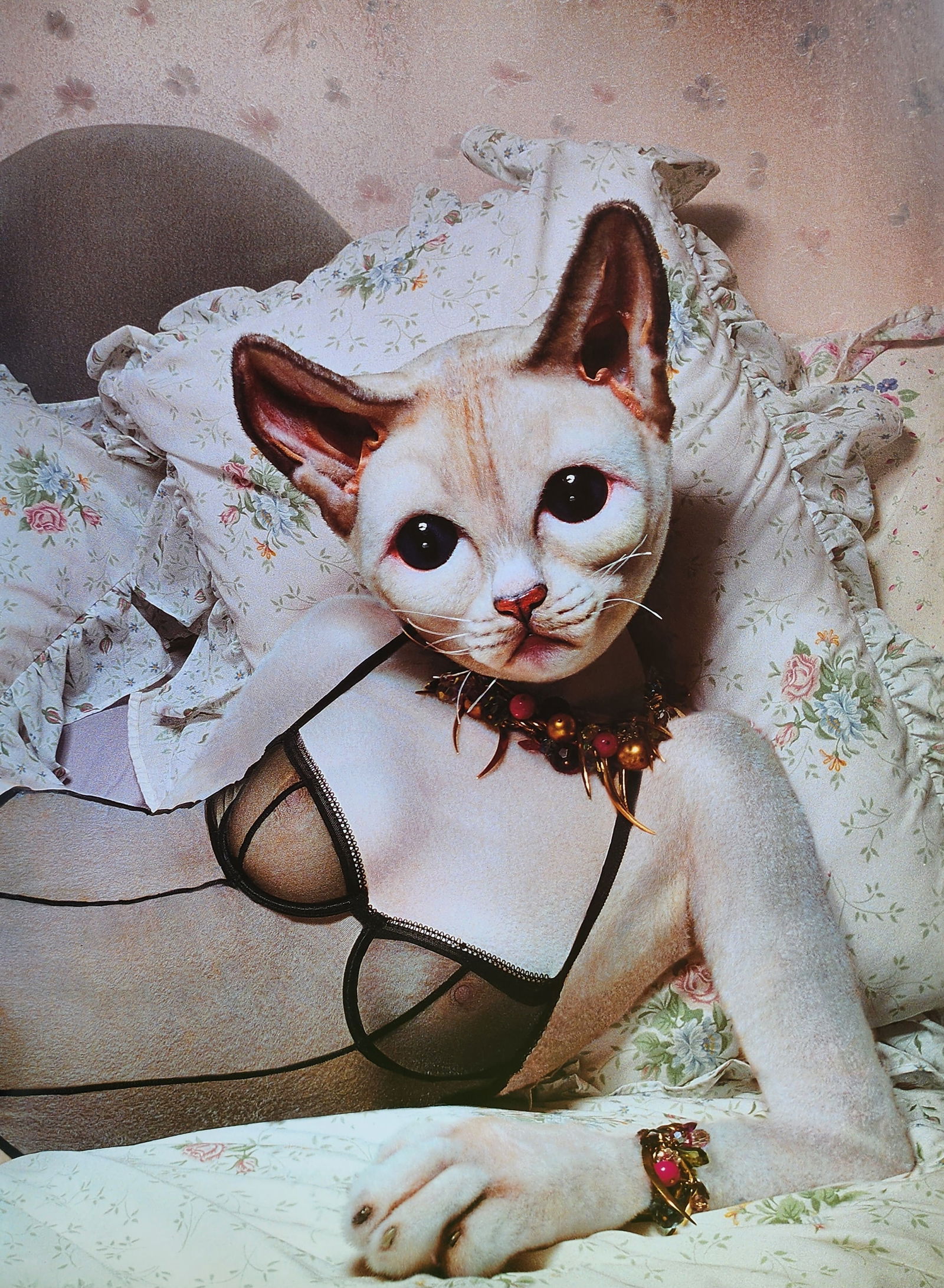 Rankin 'Untitled", 2003: John Rankin Waddell (1966), also known under his working name Rankin, is a British portrait and fashion photographer and director. Best known as the founder of Dazed and Confused magazine, and for his