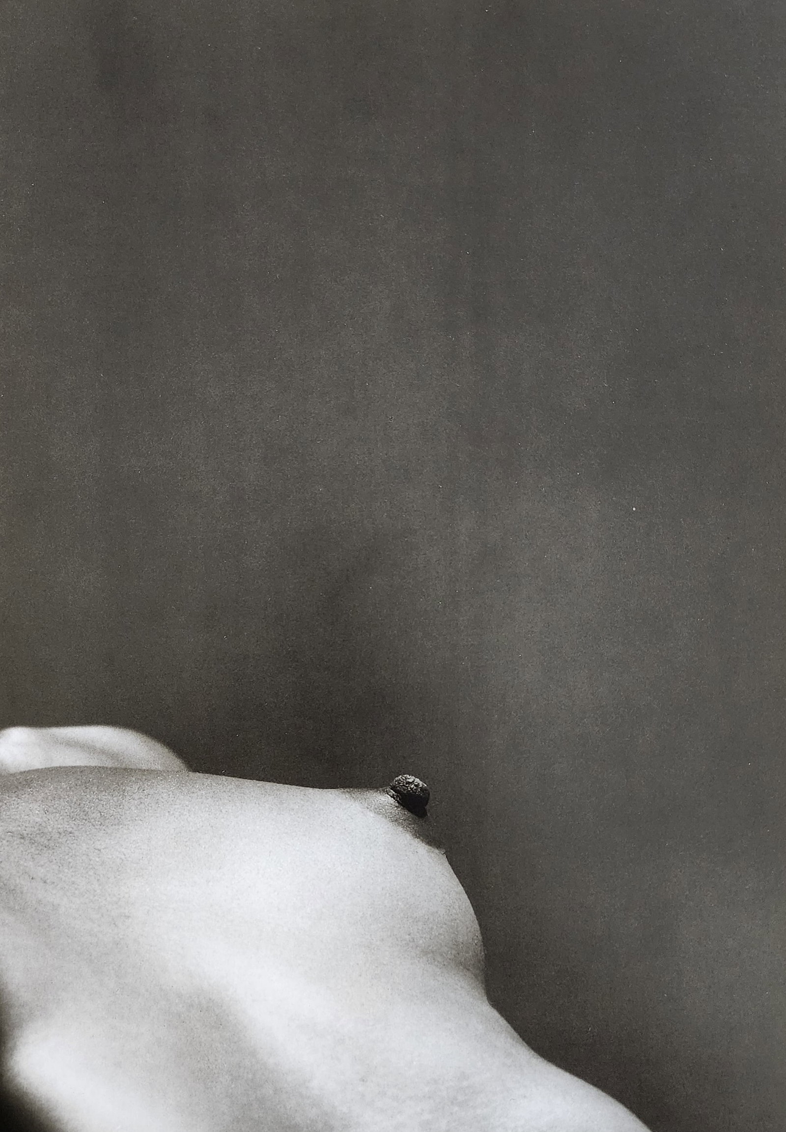 Greg Gorman, The art of body form, 1992: Artist/Photographer: Greg Gorman Title/Subject: The art of body form Type Of Print: Authentic Sheet Fed Photogravure/Heliogravure. Date Of Print: 1992 Paper: Medium weight, satin/matte finish. Print O