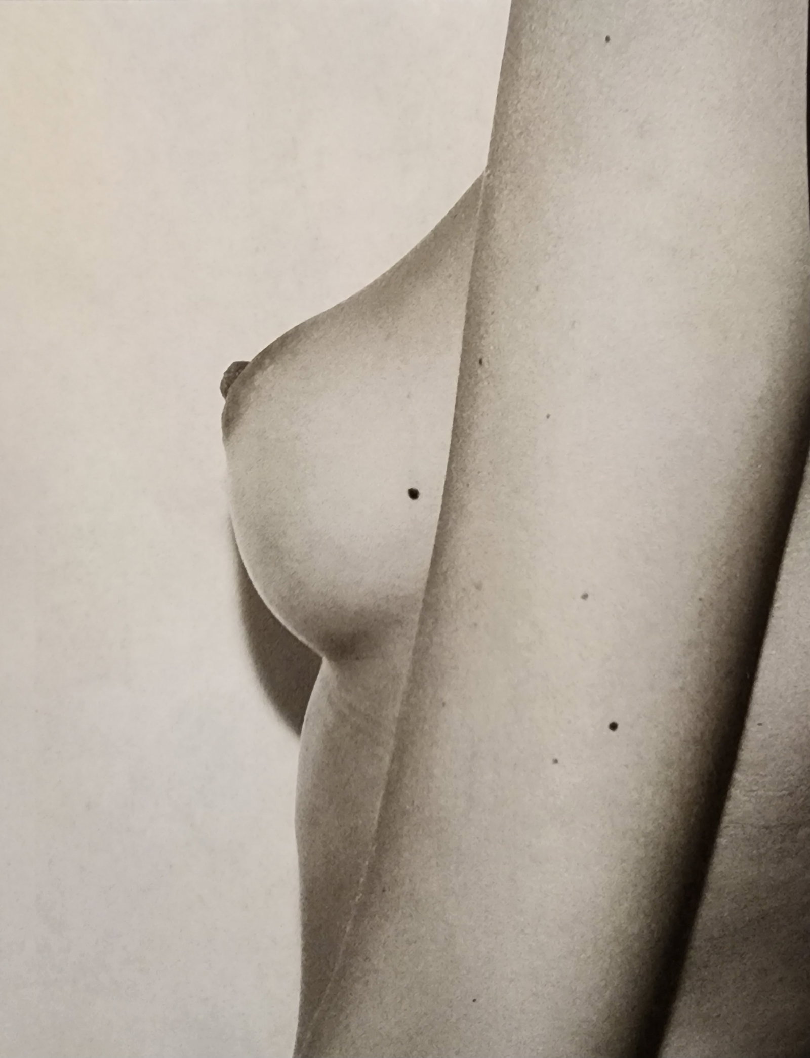 Leonardo Glauso 'Bellissima' 2020: Artist/Photographer: Leonardo Glauso Title/Subject: Bellissima Type Of Print: Authentic Sheet Fed Photogravure/Heliogravure. Date Of Print: 2020 Paper: Medium weight, satin/matte finish. Print Origin: