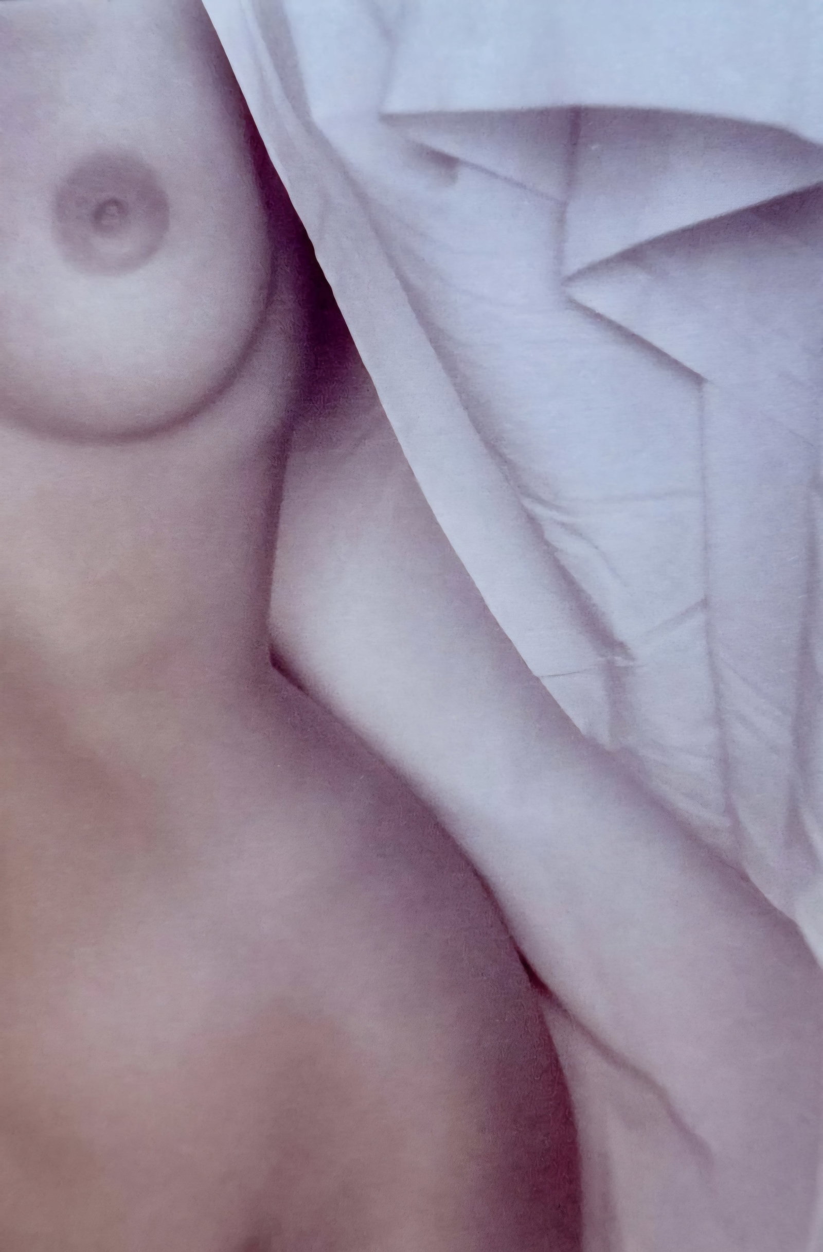 Vintage Nudes, 1999: Artist/Photographer: Various best photogrpher Title/Subject: Vintage Nudes Type Of Print: Authentic Sheet Fed Photogravure/Heliogravure. Date Of Print: 1999 Paper: Medium weight, satin/matte finish. P