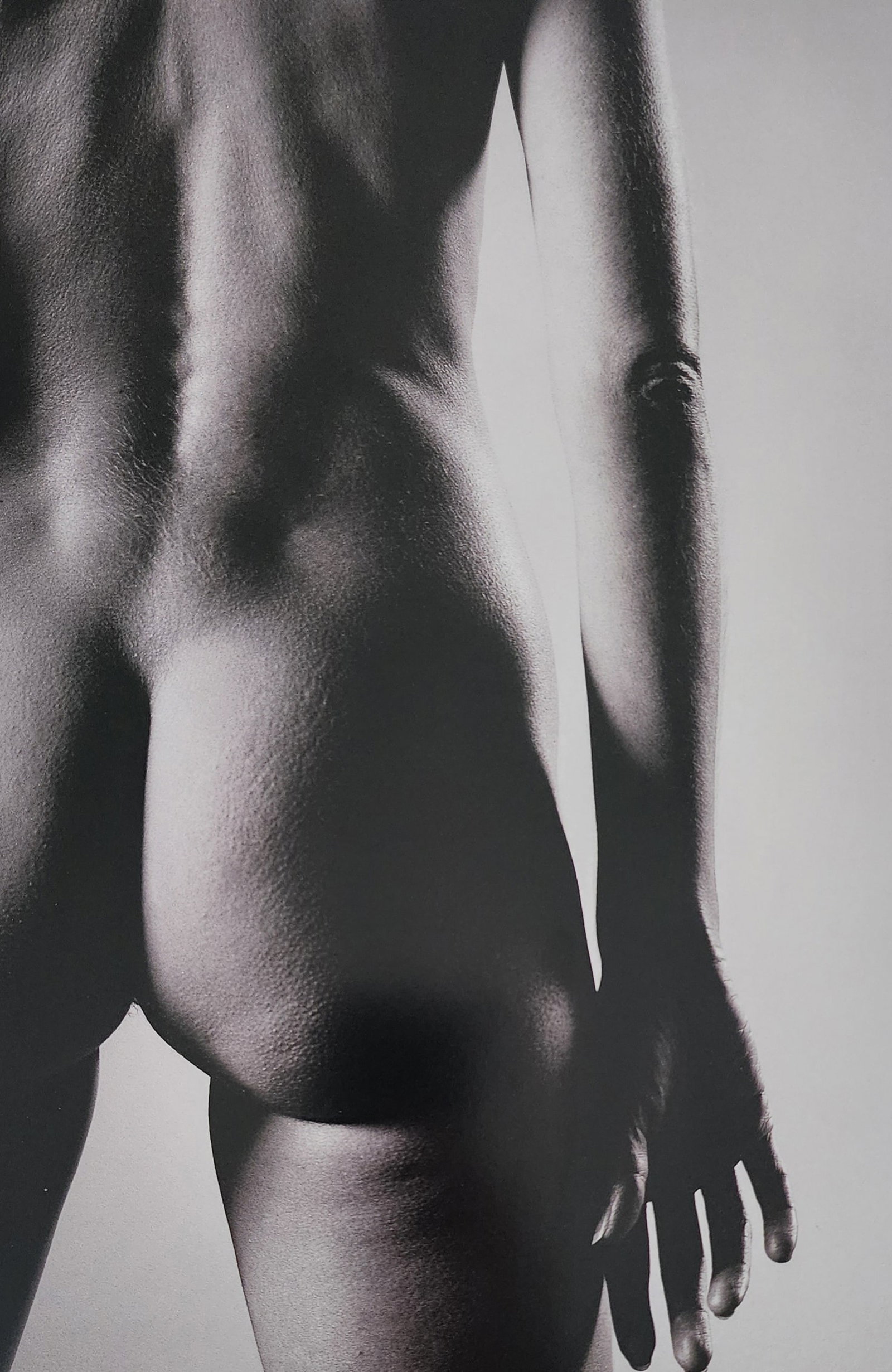 Alina Reyes, Nudes Female Model - 2005: Artist/Photographer: Alina Reyes Title/Subject: Nudes Female Model Type Of Print: Authentic Sheet Fed Photogravure/Heliogravure. Date Of Print: 2005 Paper: Medium weight, satin/matte finish. Print Ori